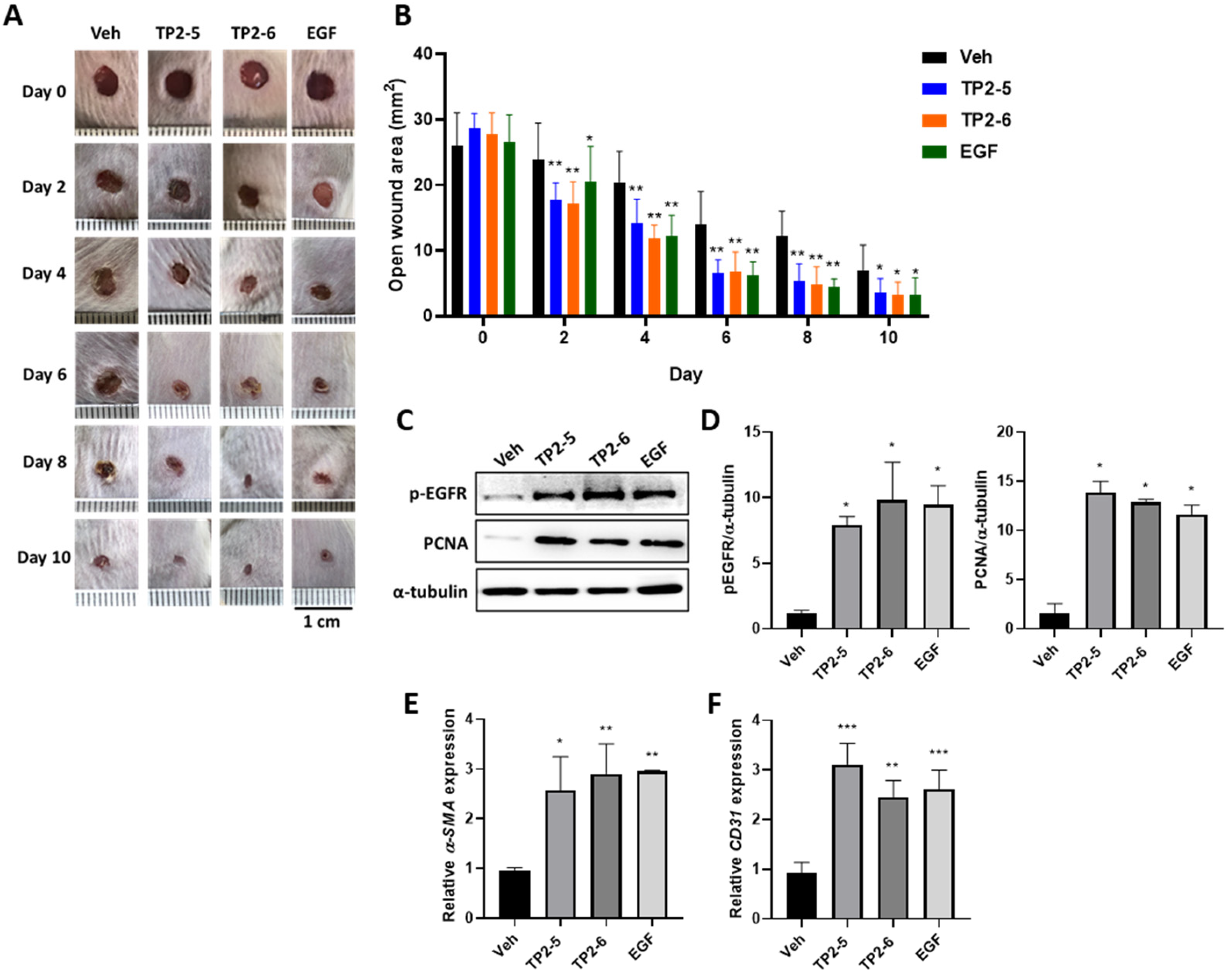 Marinedrugs 20 00205 g005