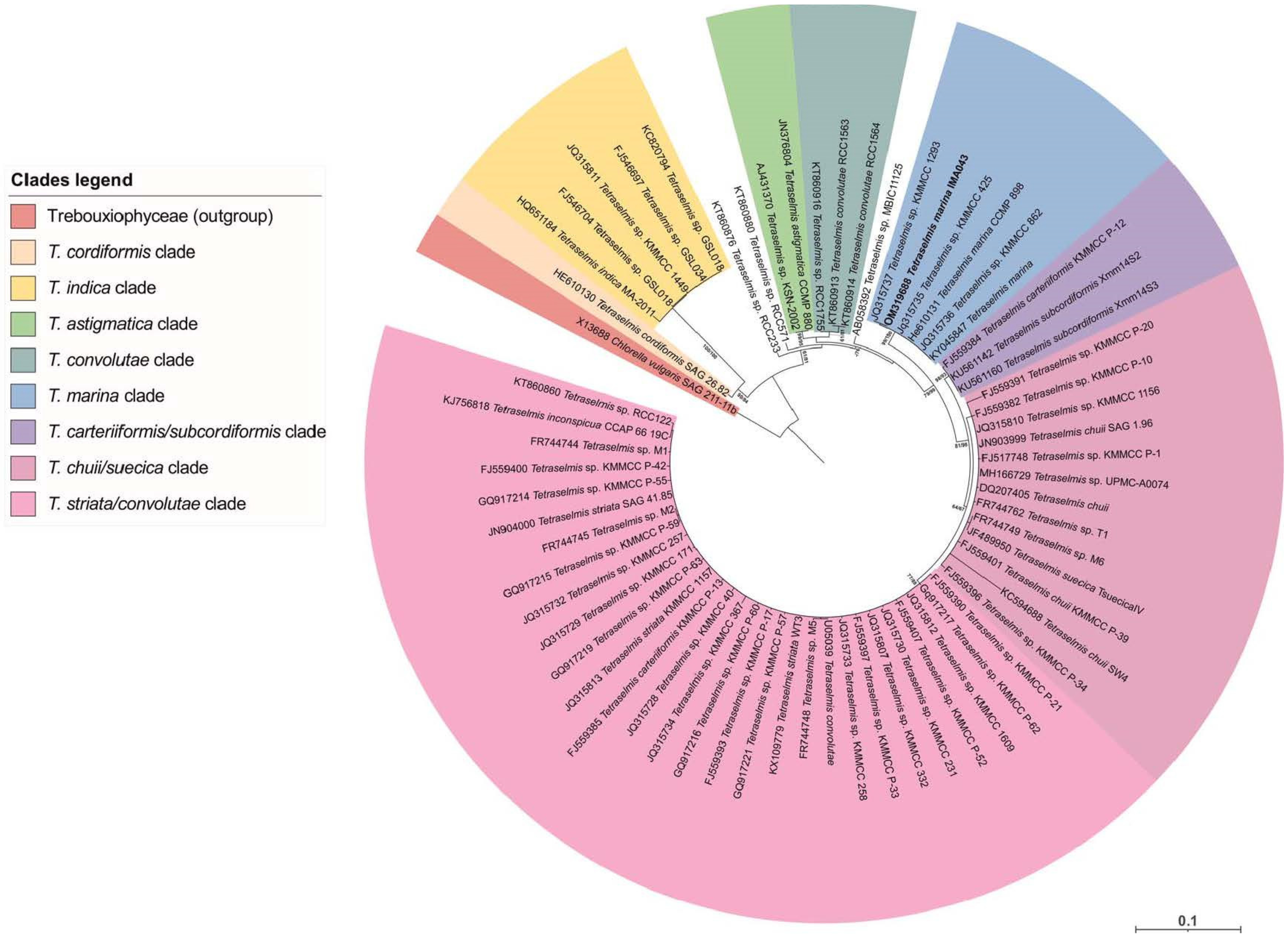 Marinedrugs 20 00207 g001