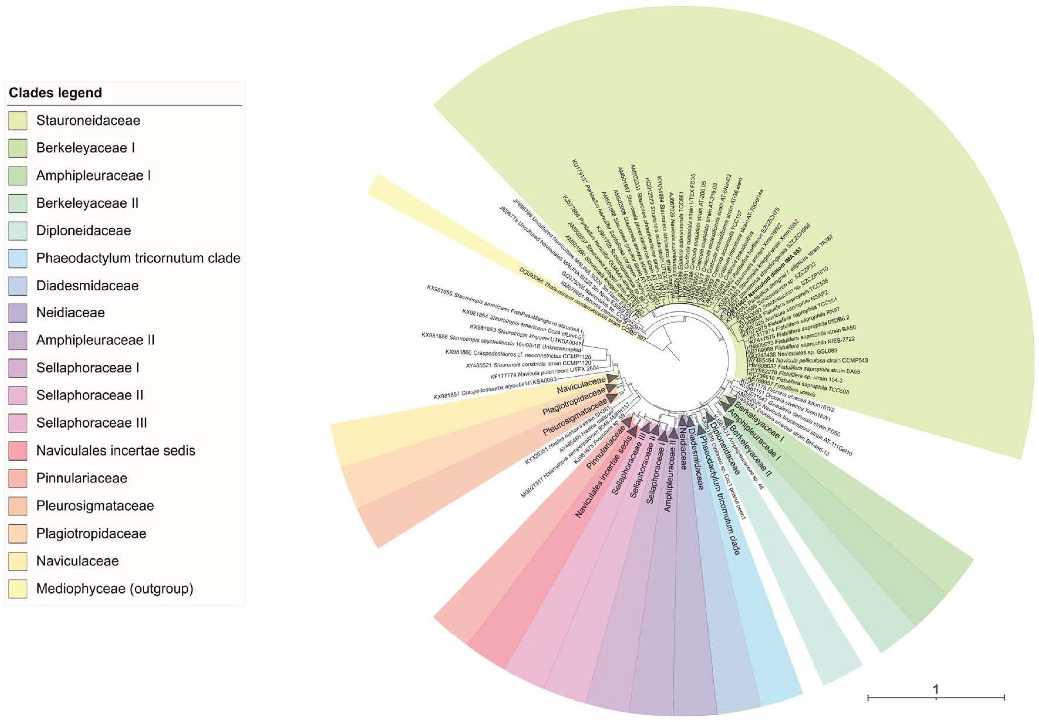 Marinedrugs 20 00207 g002