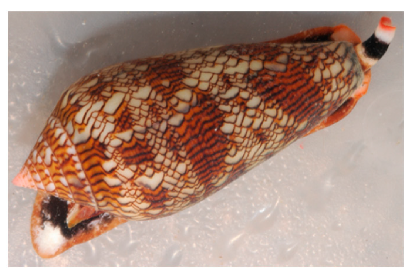 Marinedrugs 20 00219 g012