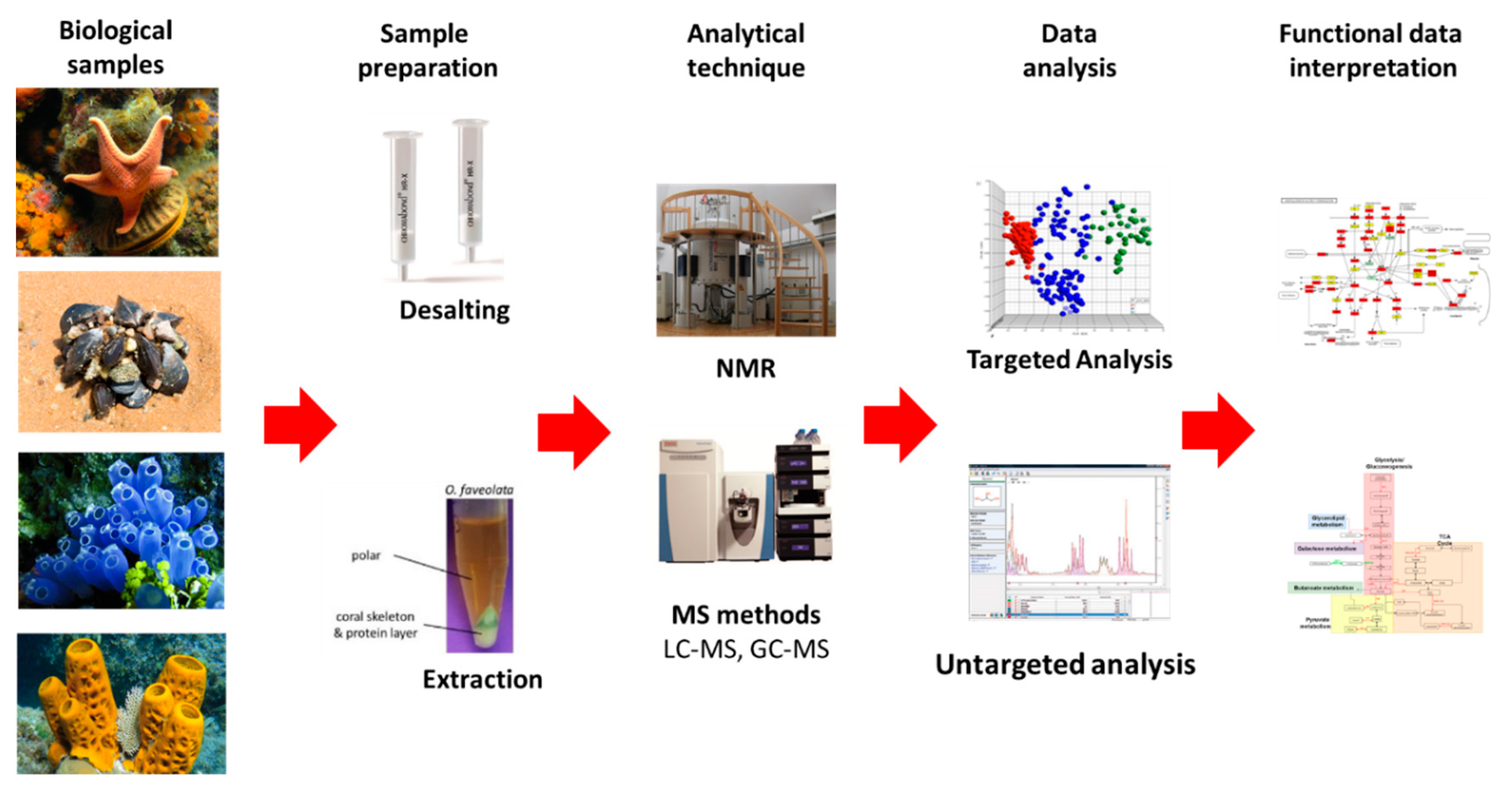 Marinedrugs 20 00219 g019