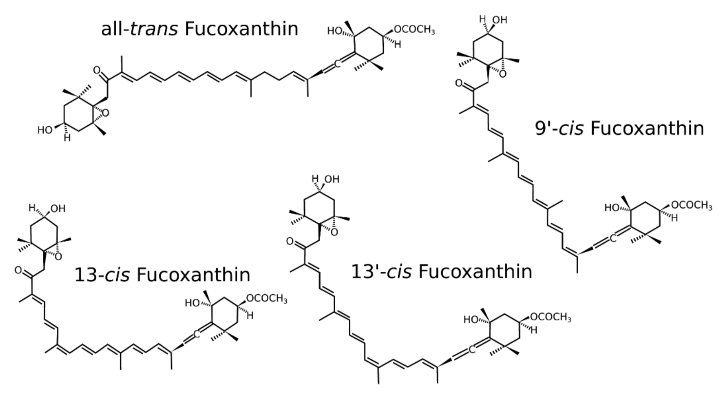 Marinedrugs 20 00222 g002