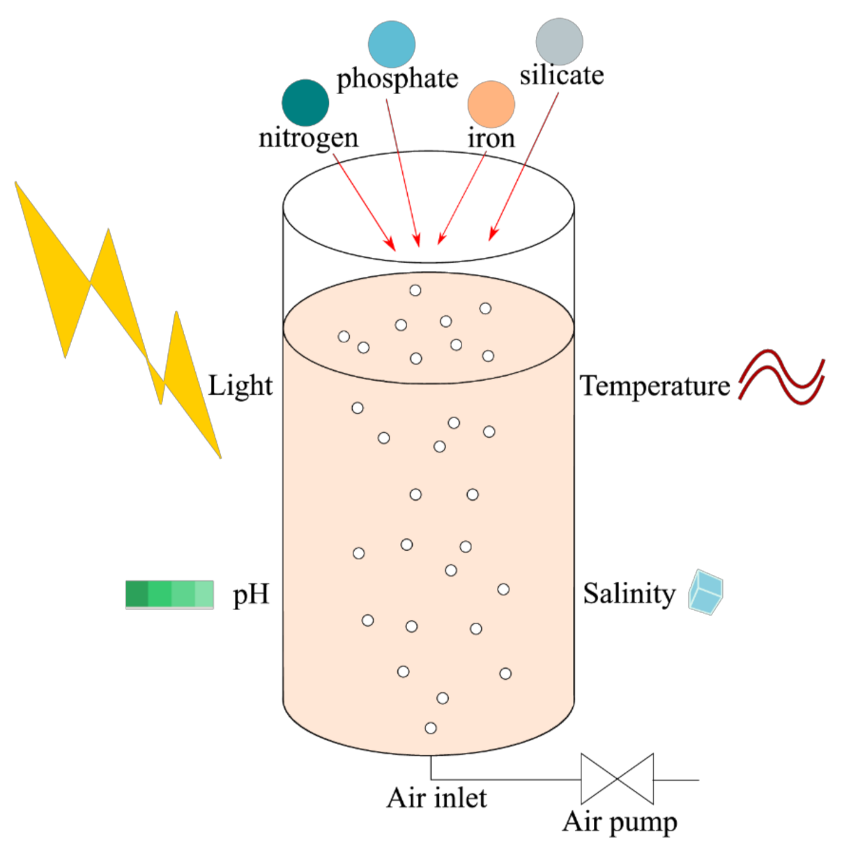 Marinedrugs 20 00222 g004