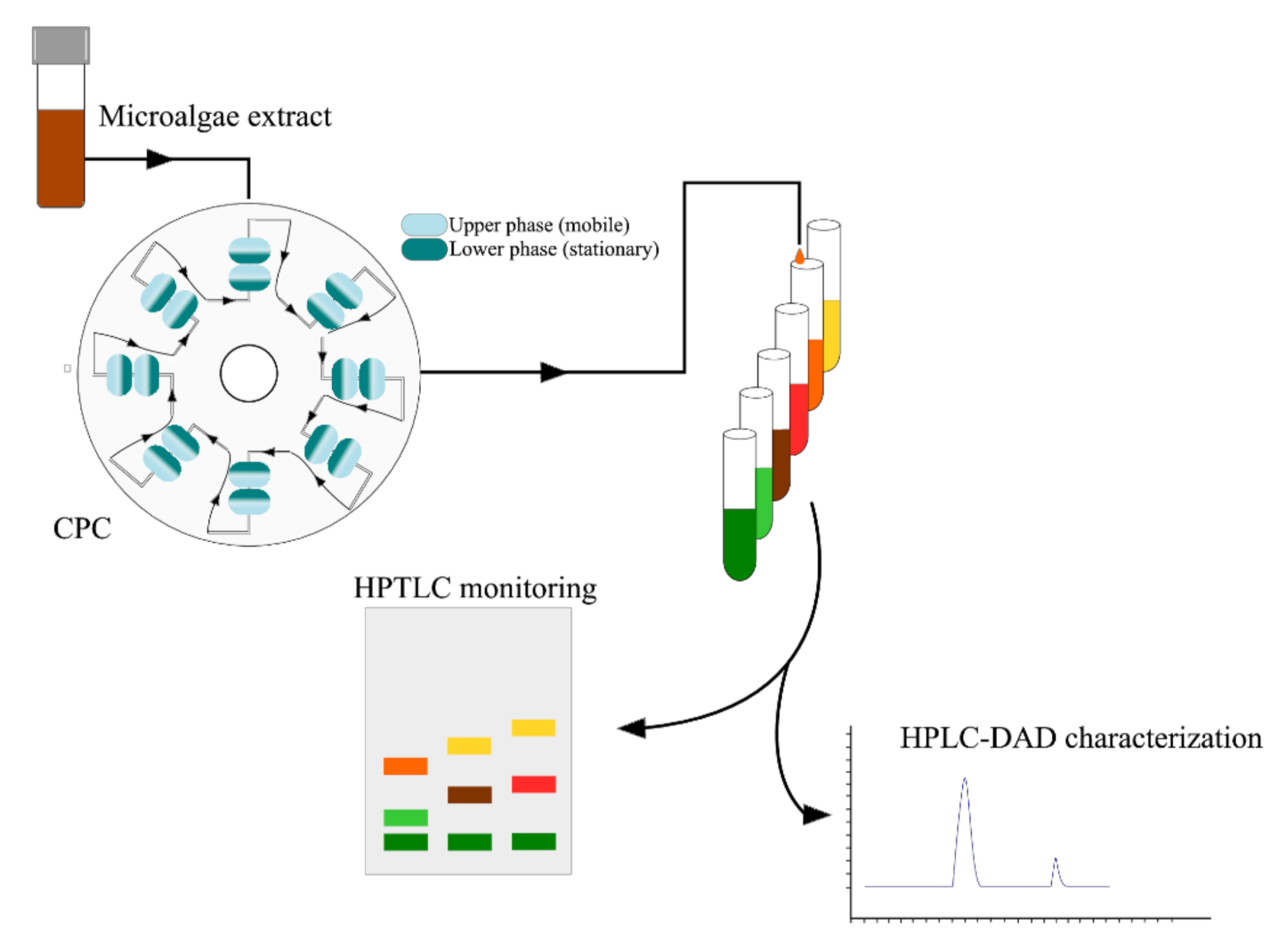 Marinedrugs 20 00222 g005