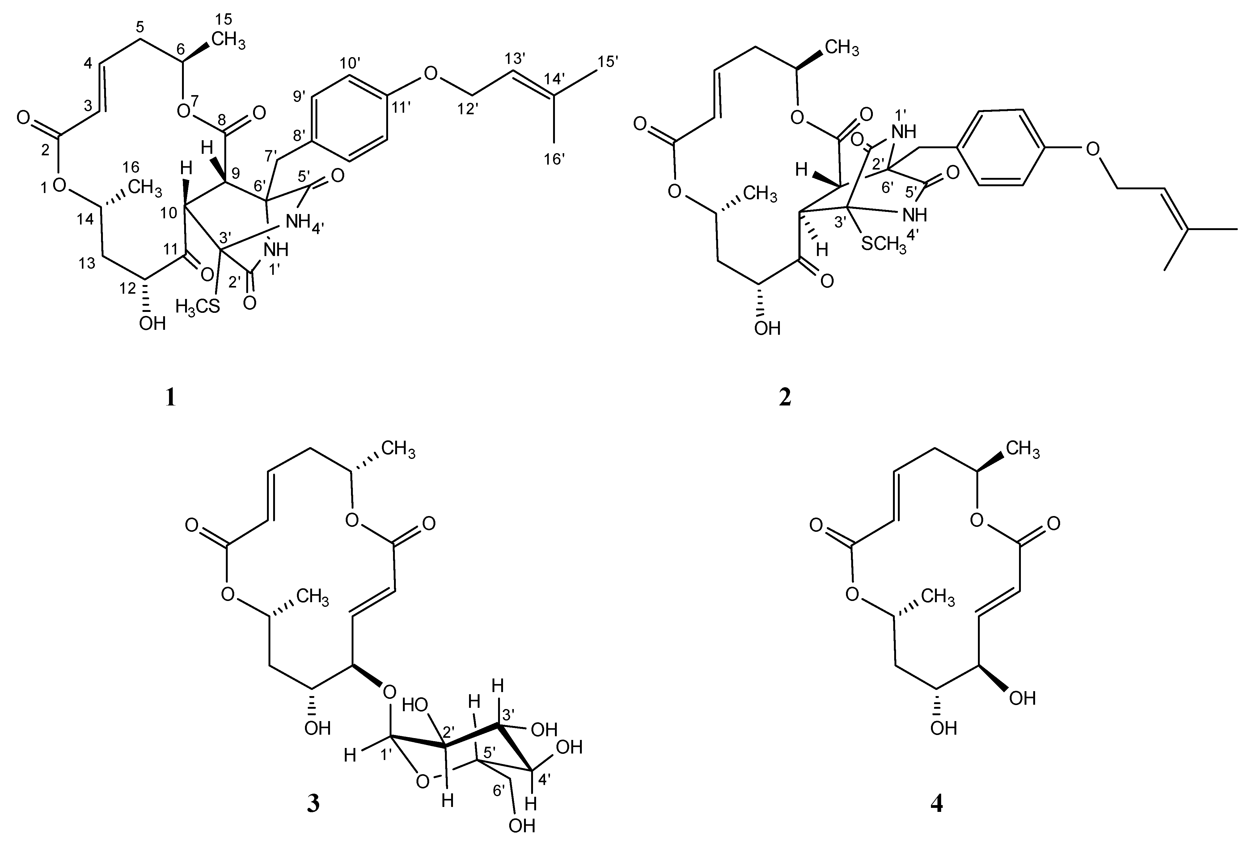 Marinedrugs 20 00226 g001 Marinedrugs 20 00226 g001