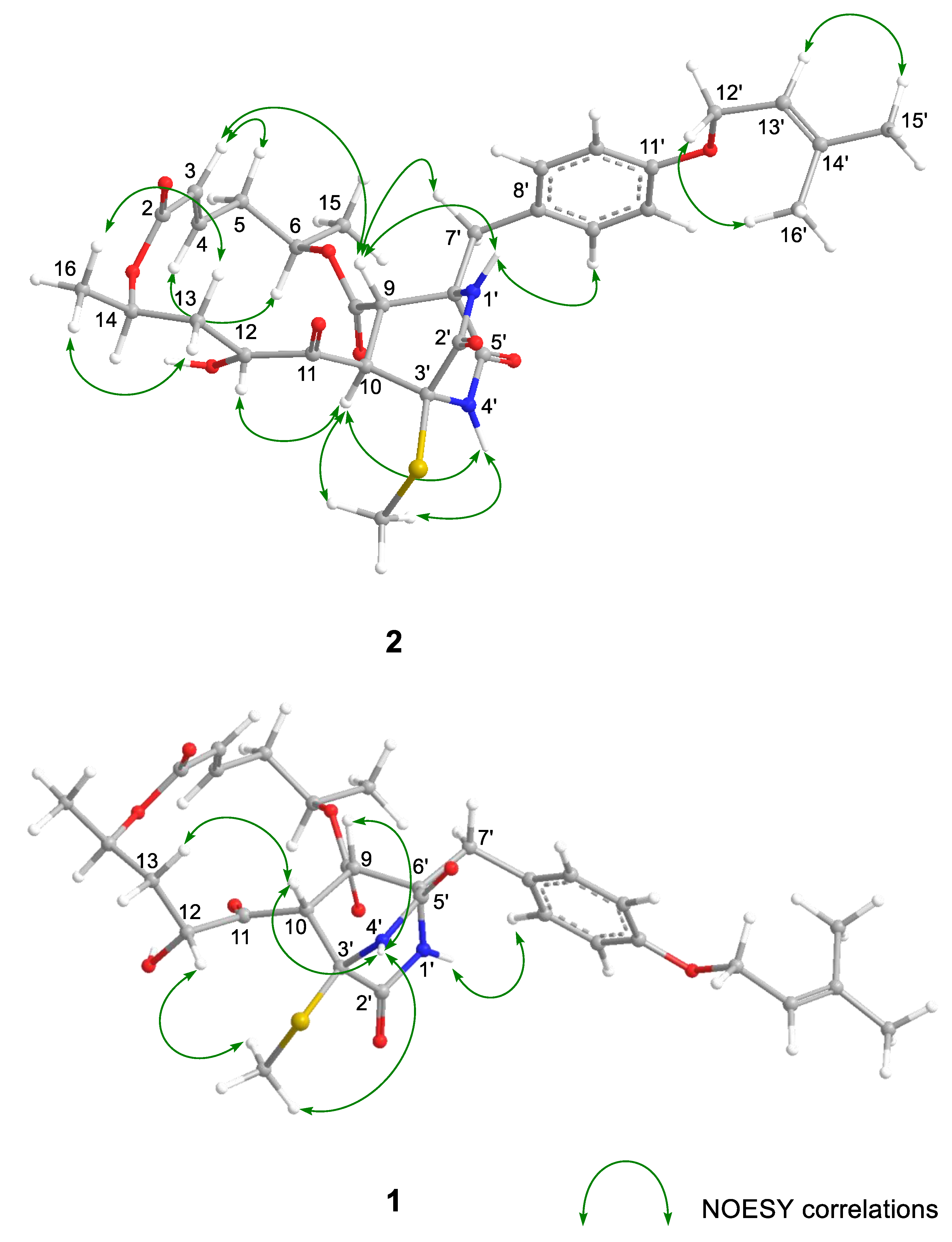 Marinedrugs 20 00226 g002 Marinedrugs 20 00226 g002