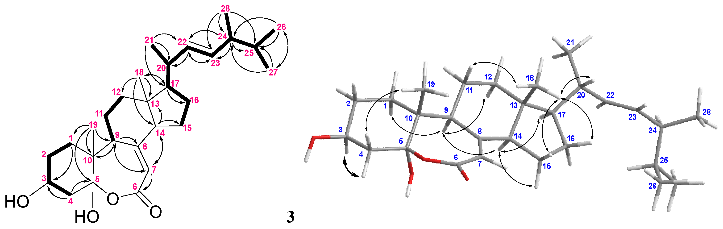 Marinedrugs 20 00241 g008