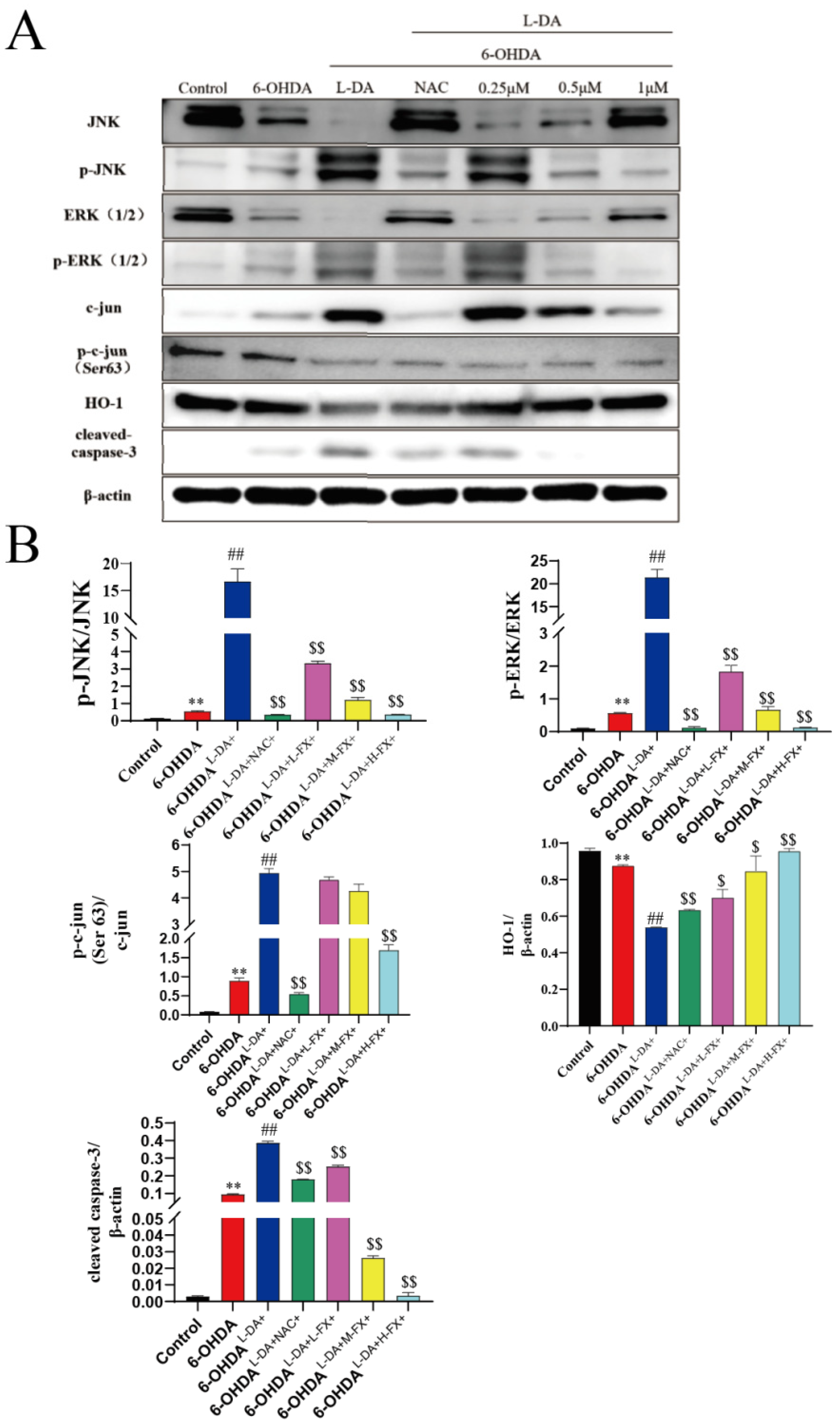 Marinedrugs 20 00245 g006