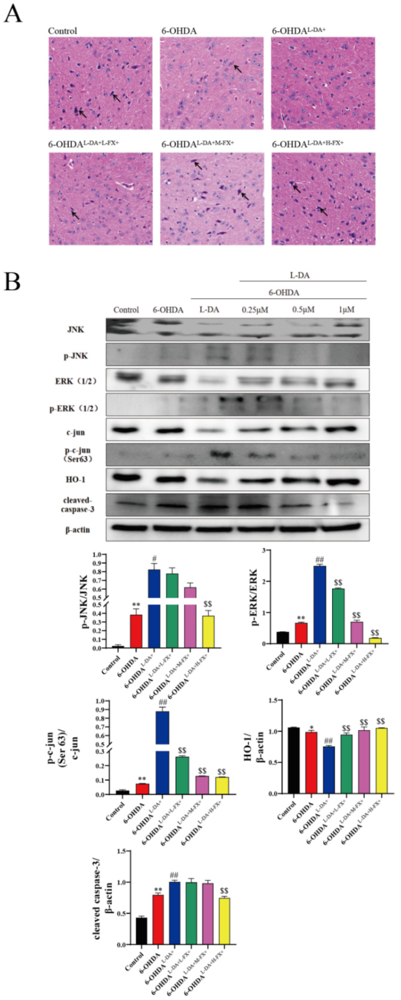 Marinedrugs 20 00245 g008