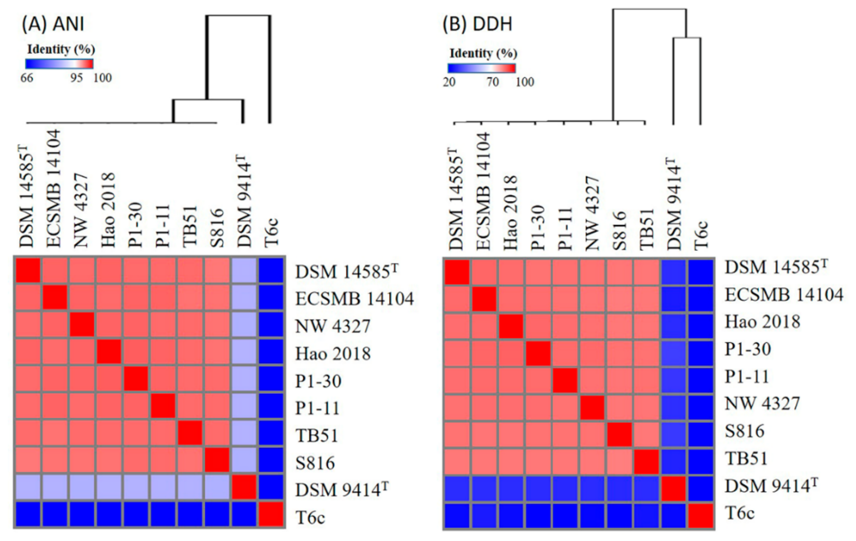 Marinedrugs 20 00248 g001