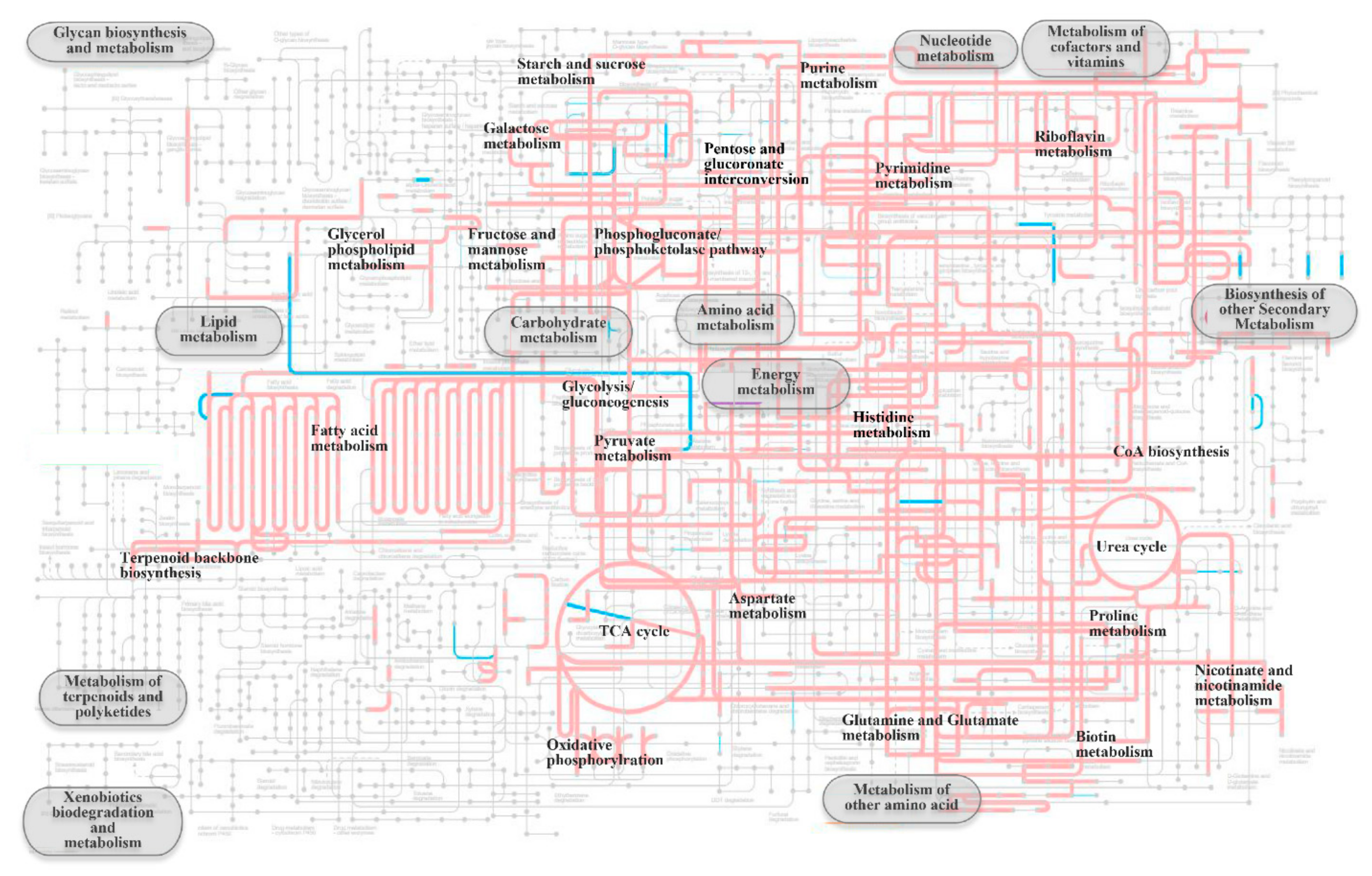 Marinedrugs 20 00248 g005