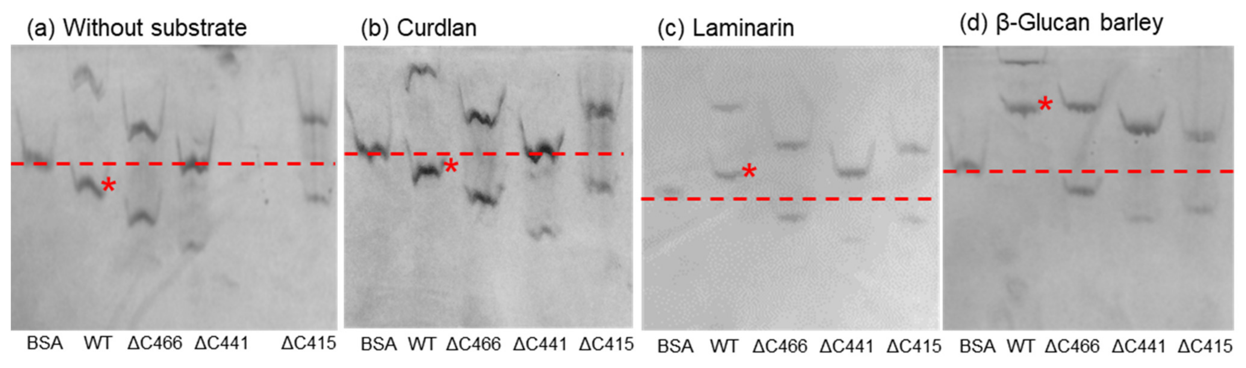 Marinedrugs 20 00250 g004 Marinedrugs 20 00250 g004