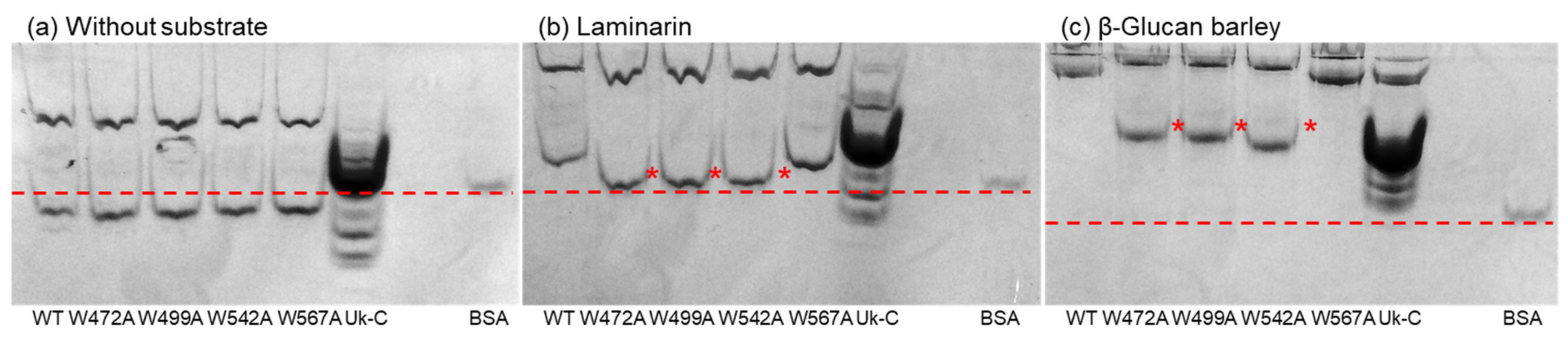 Marinedrugs 20 00250 g005 Marinedrugs 20 00250 g005