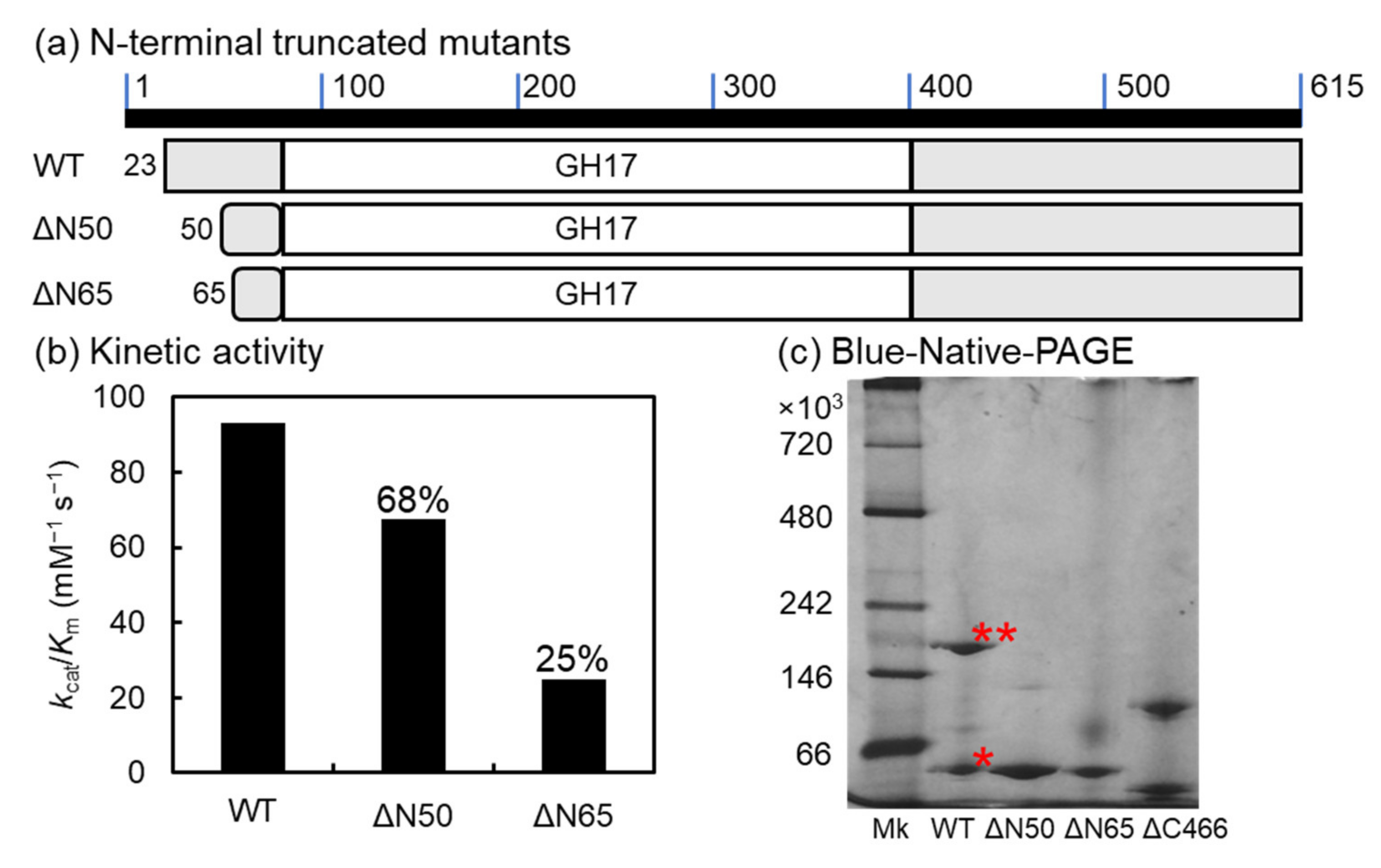 Marinedrugs 20 00250 g007 Marinedrugs 20 00250 g007
