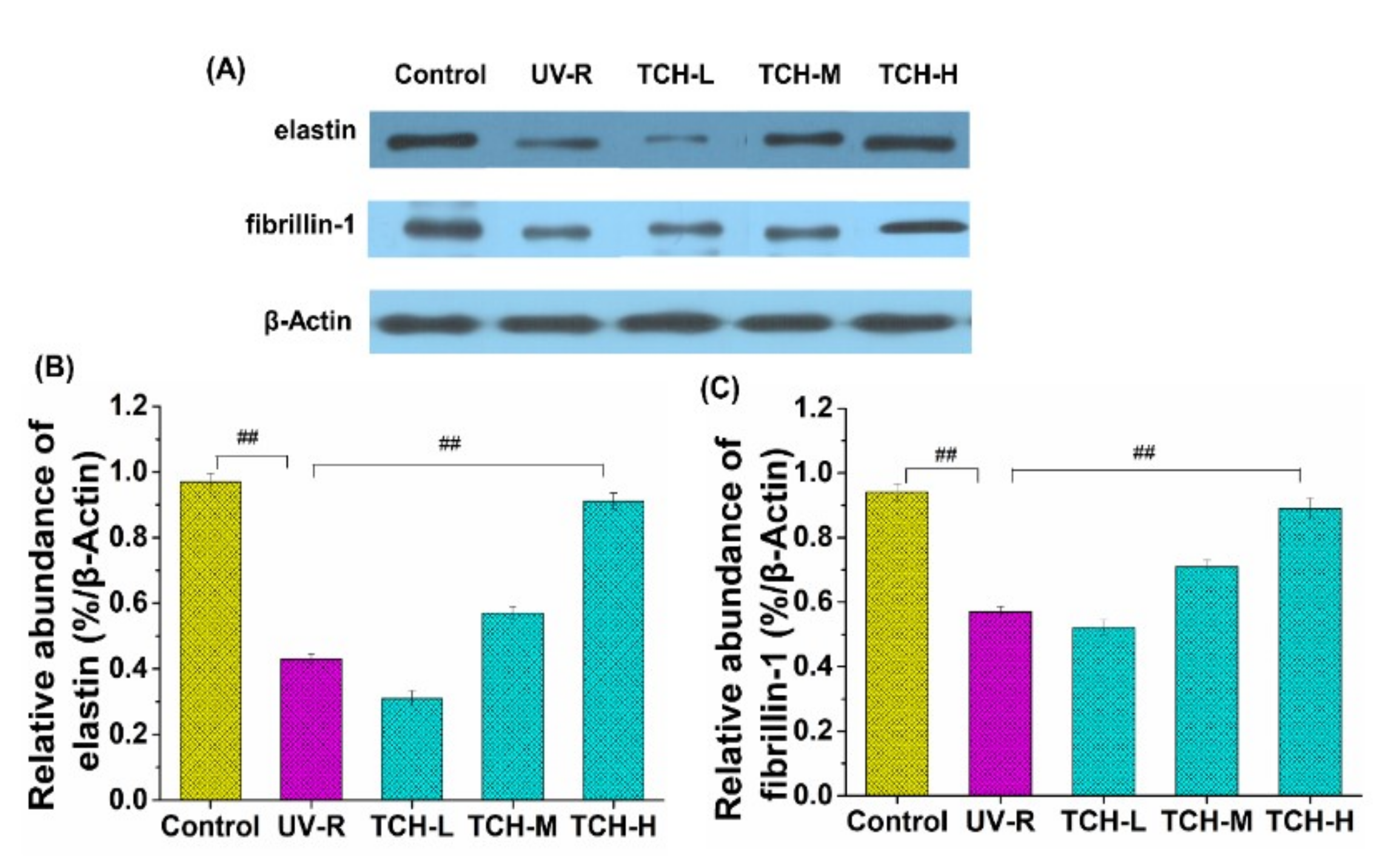 Marinedrugs 20 00252 g007