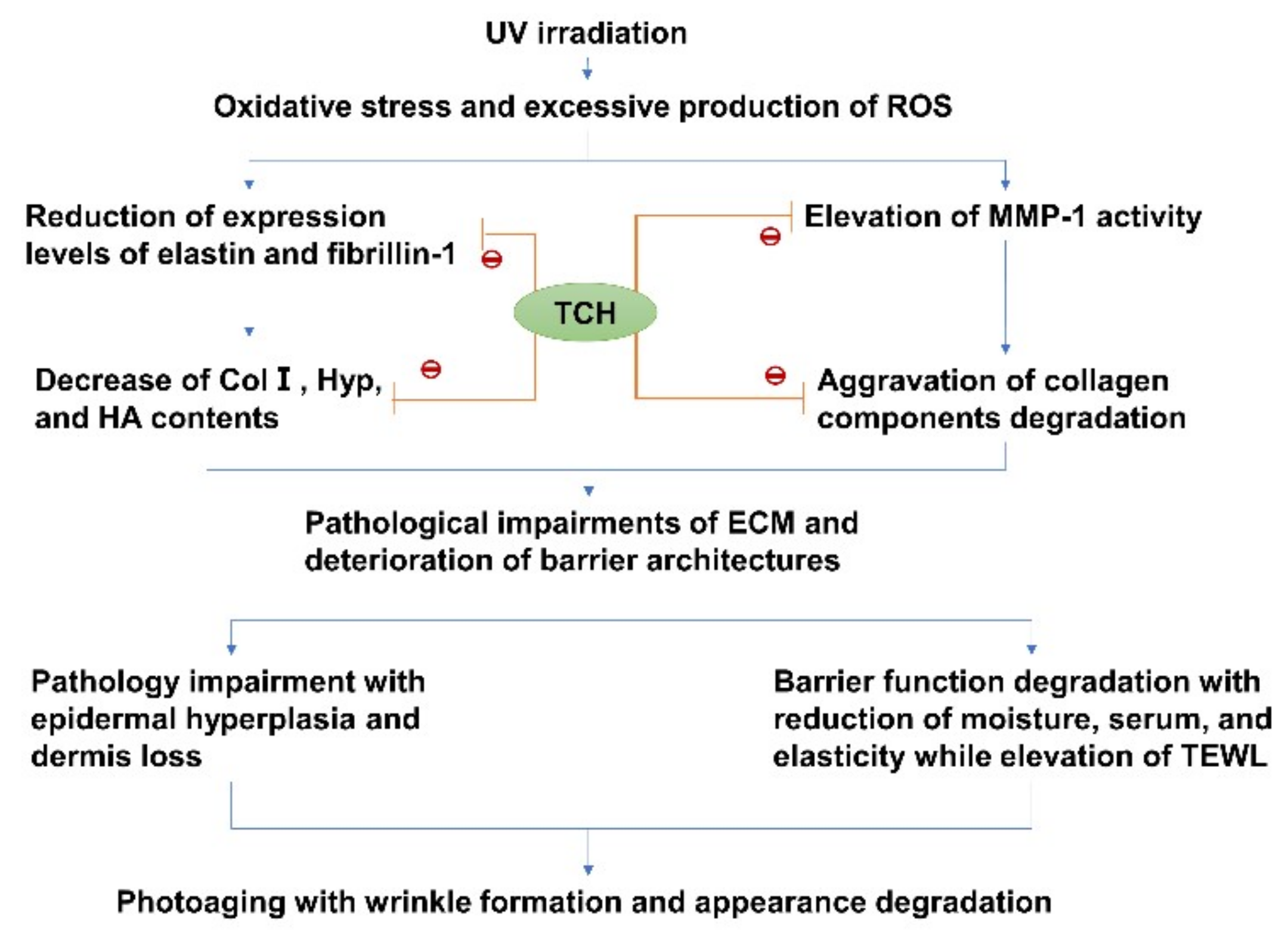 Marinedrugs 20 00252 g010