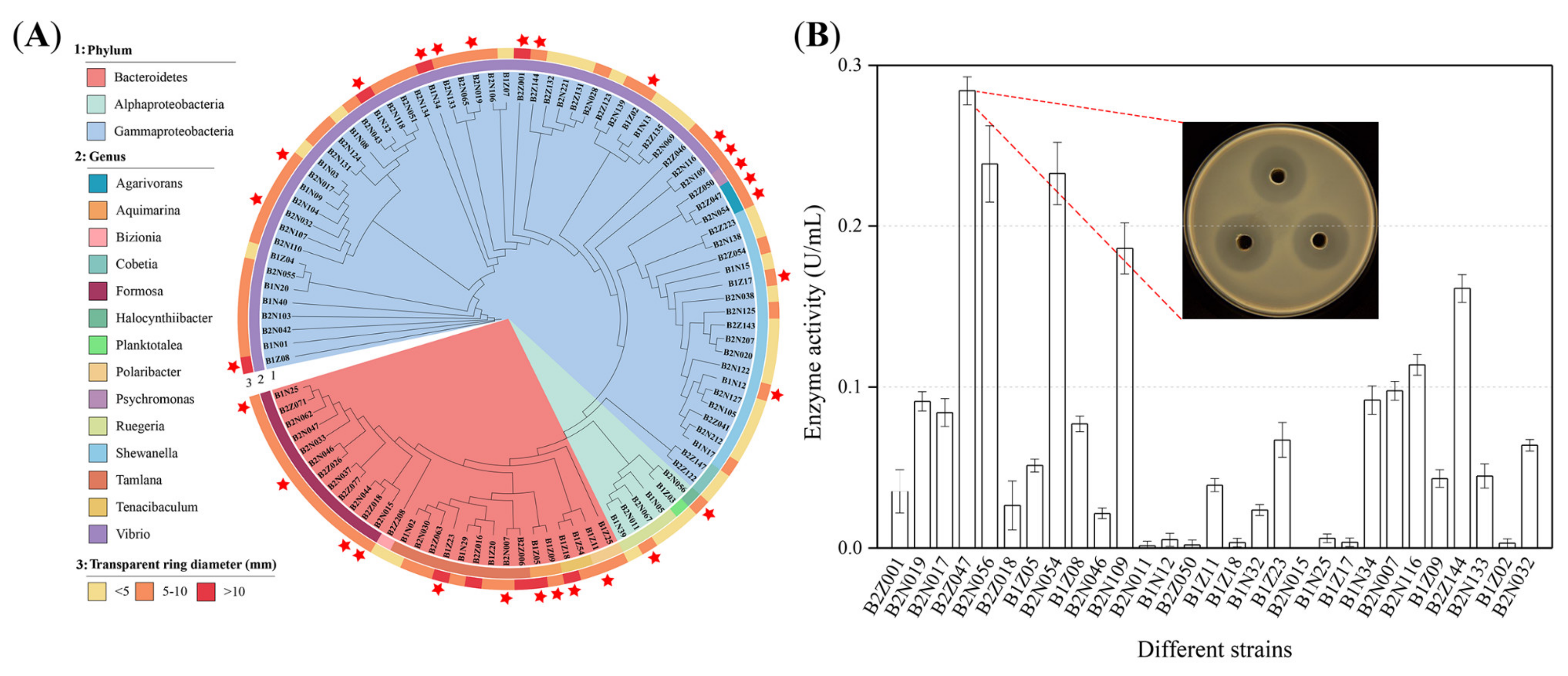 Marinedrugs 20 00254 g001