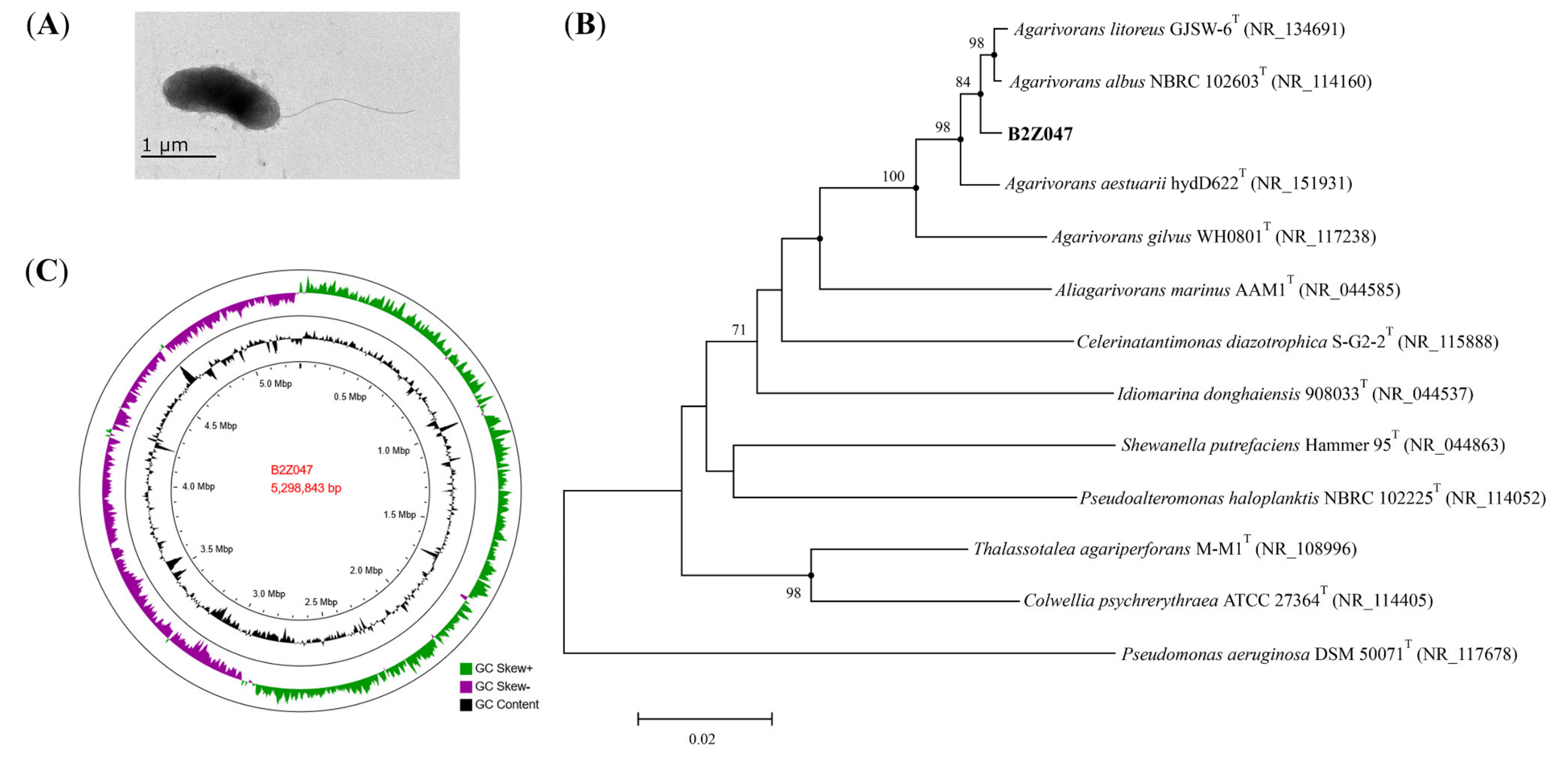 Marinedrugs 20 00254 g003