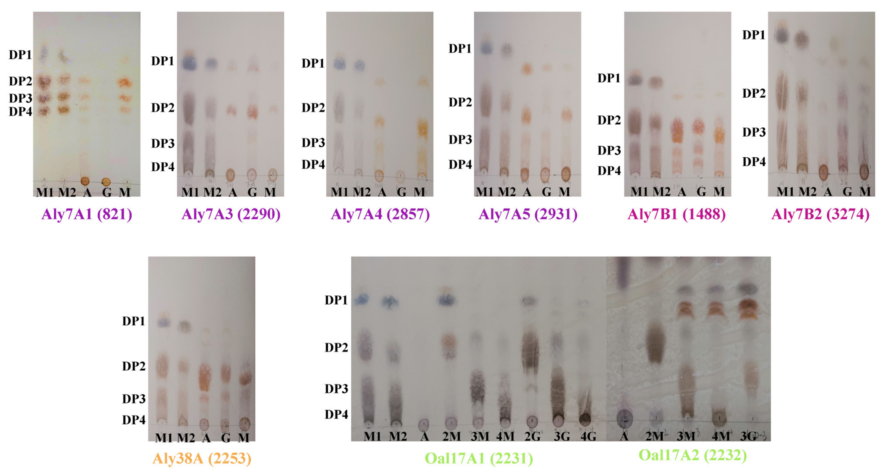 Marinedrugs 20 00254 g005