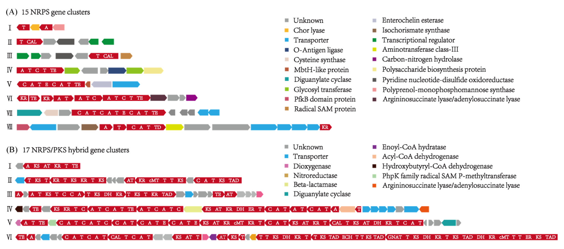 Marinedrugs 20 00269 g001