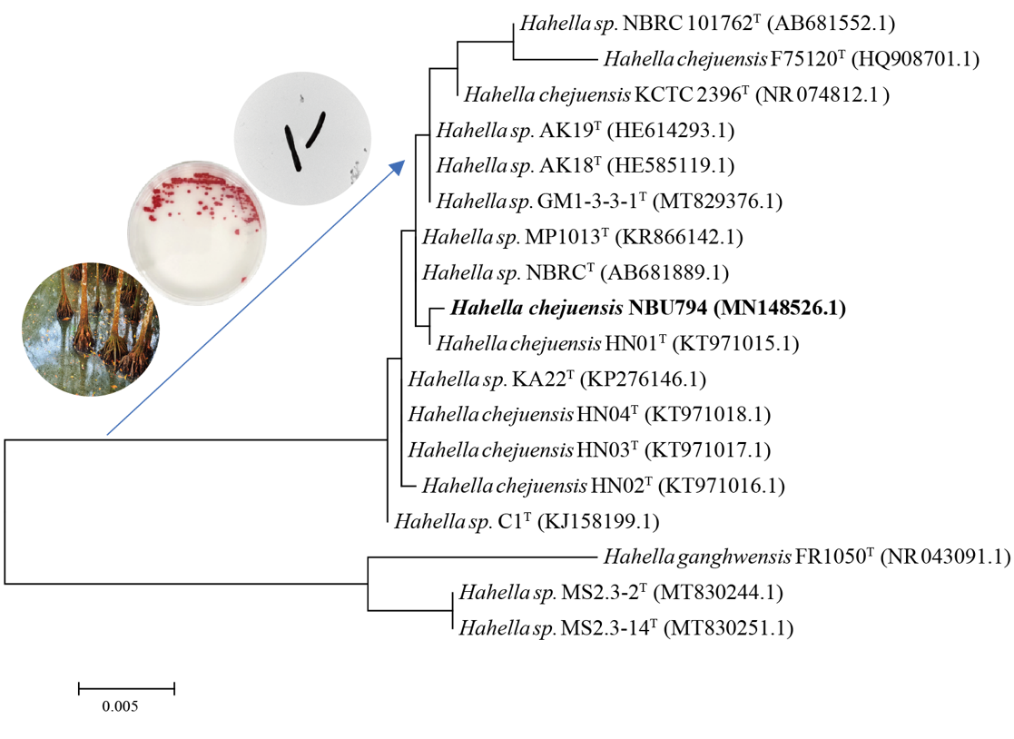 Marinedrugs 20 00269 g002