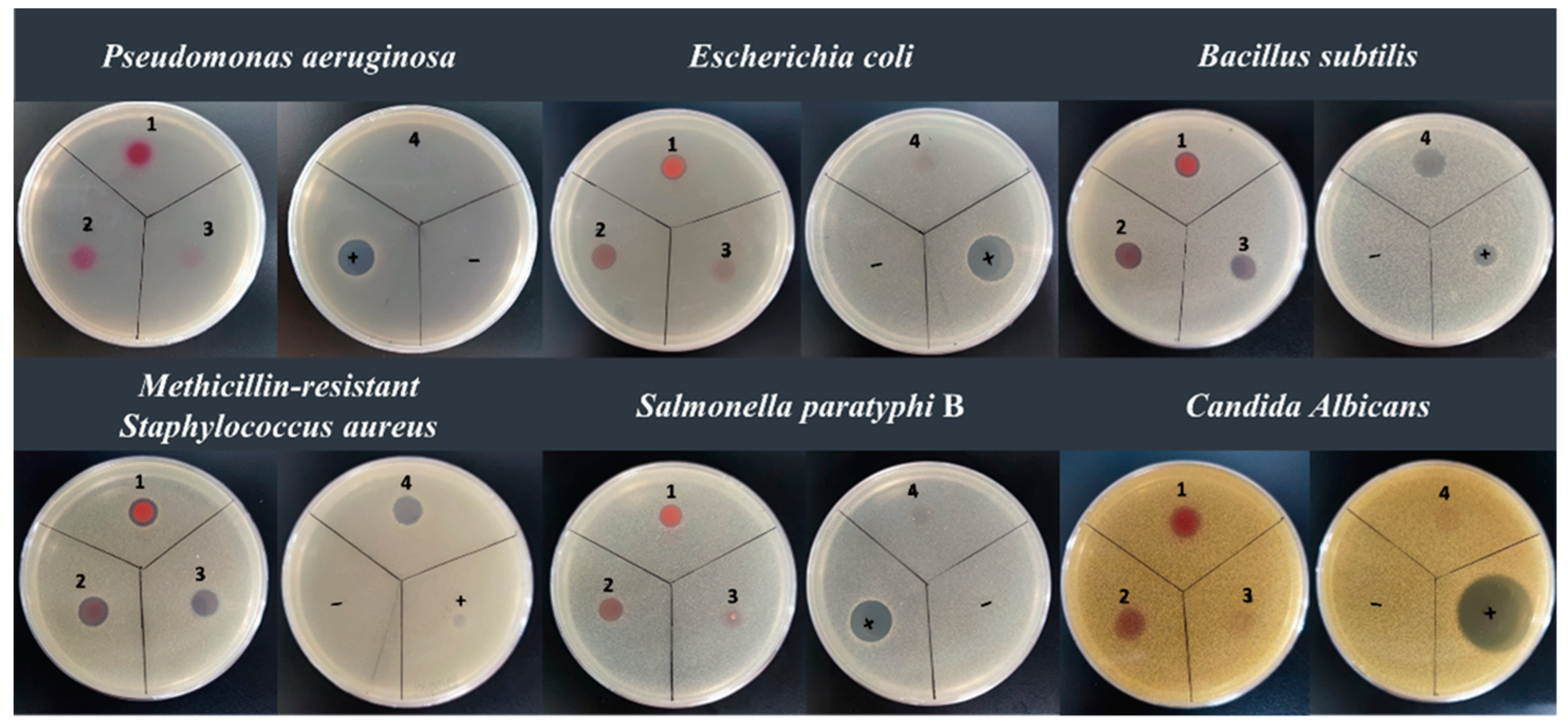 Marinedrugs 20 00269 g005