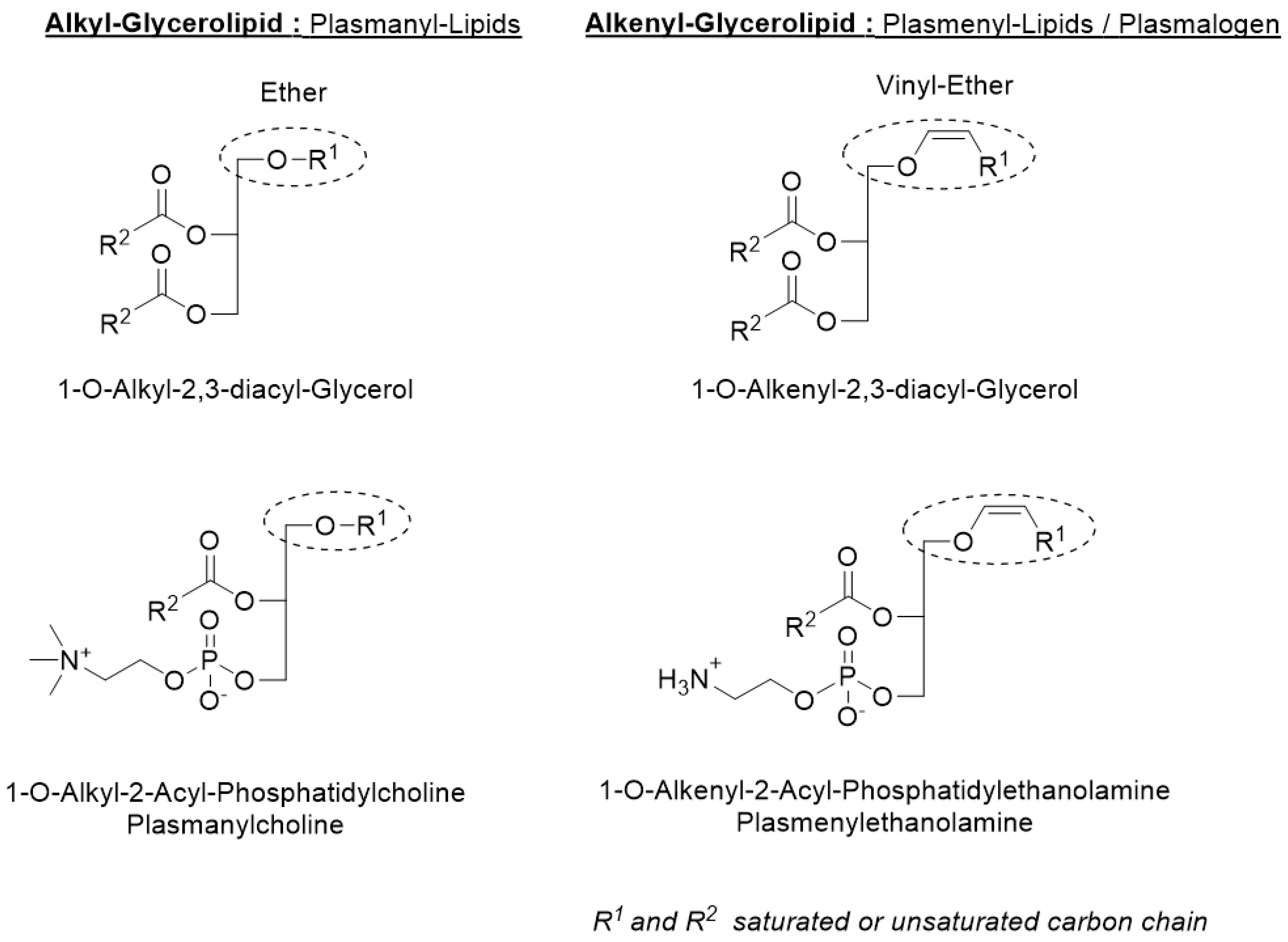 Marinedrugs 20 00270 g001