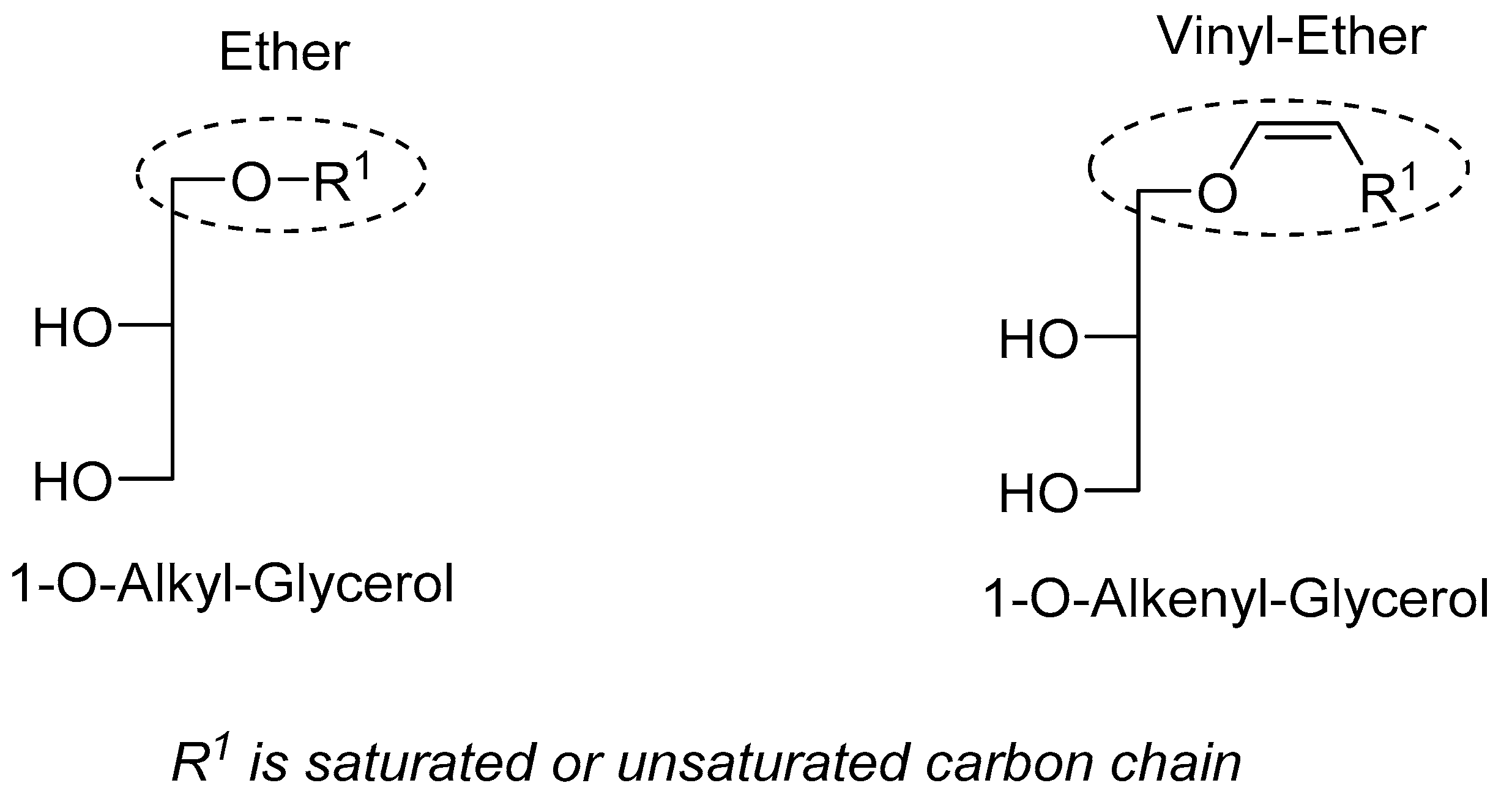 Marinedrugs 20 00270 g002