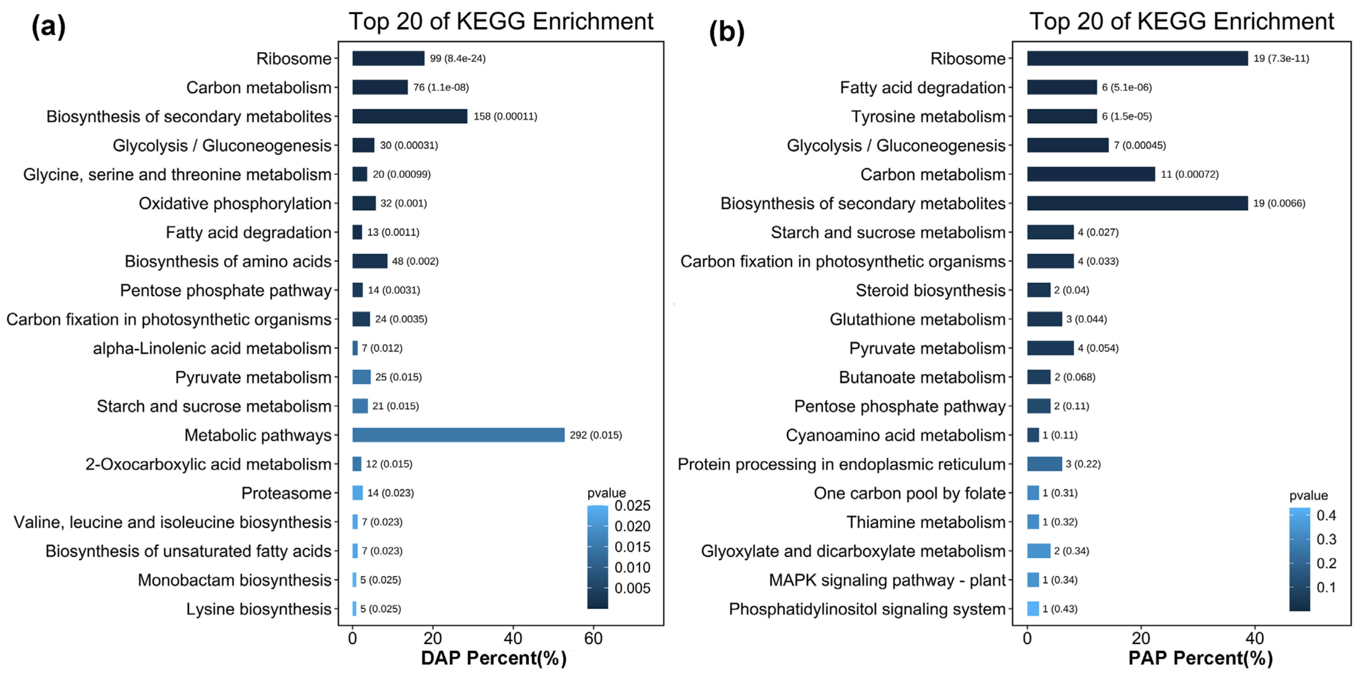 Marinedrugs 20 00276 g006 Marinedrugs 20 00276 g006