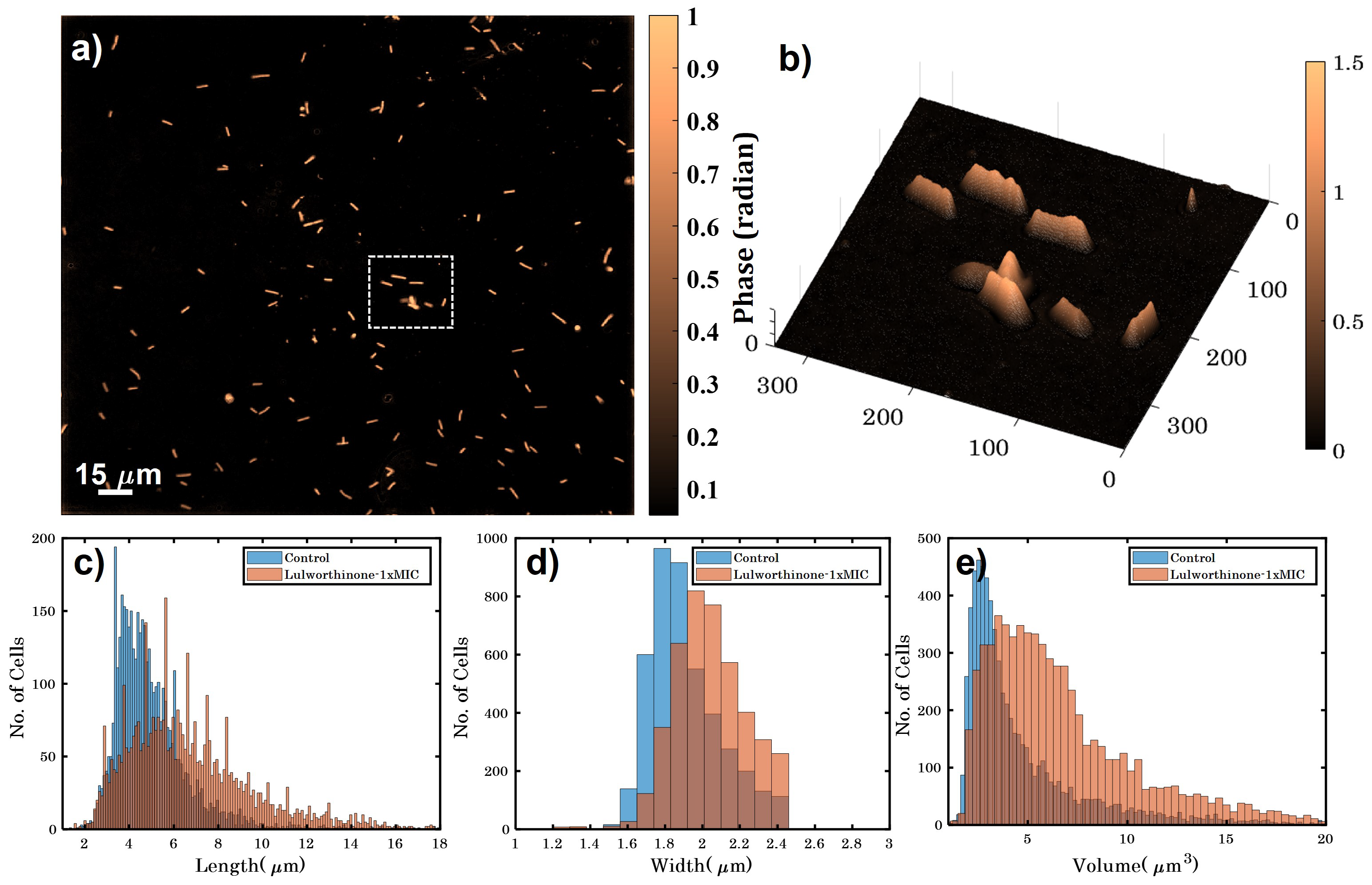 Marinedrugs 20 00277 g007 Marinedrugs 20 00277 g007