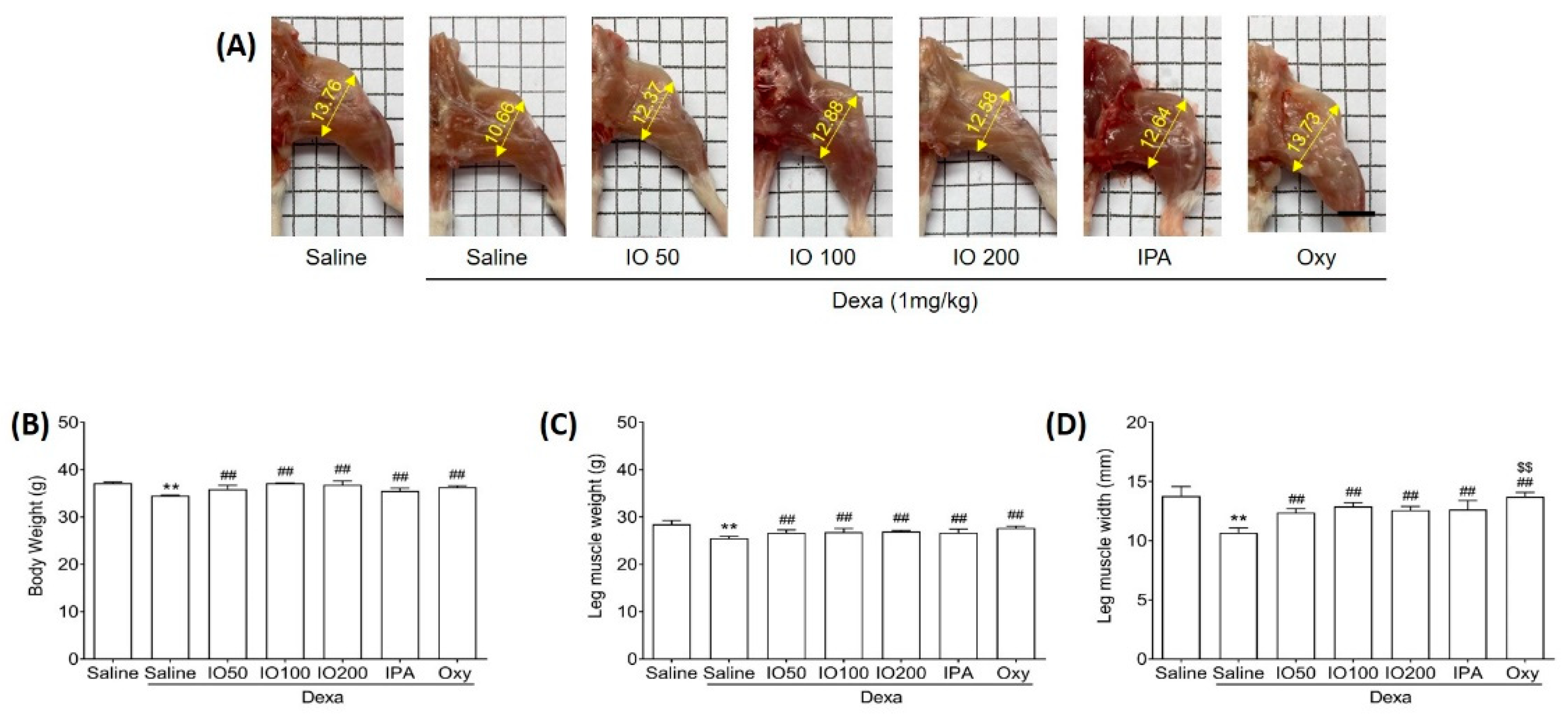 Marinedrugs 20 00280 g001