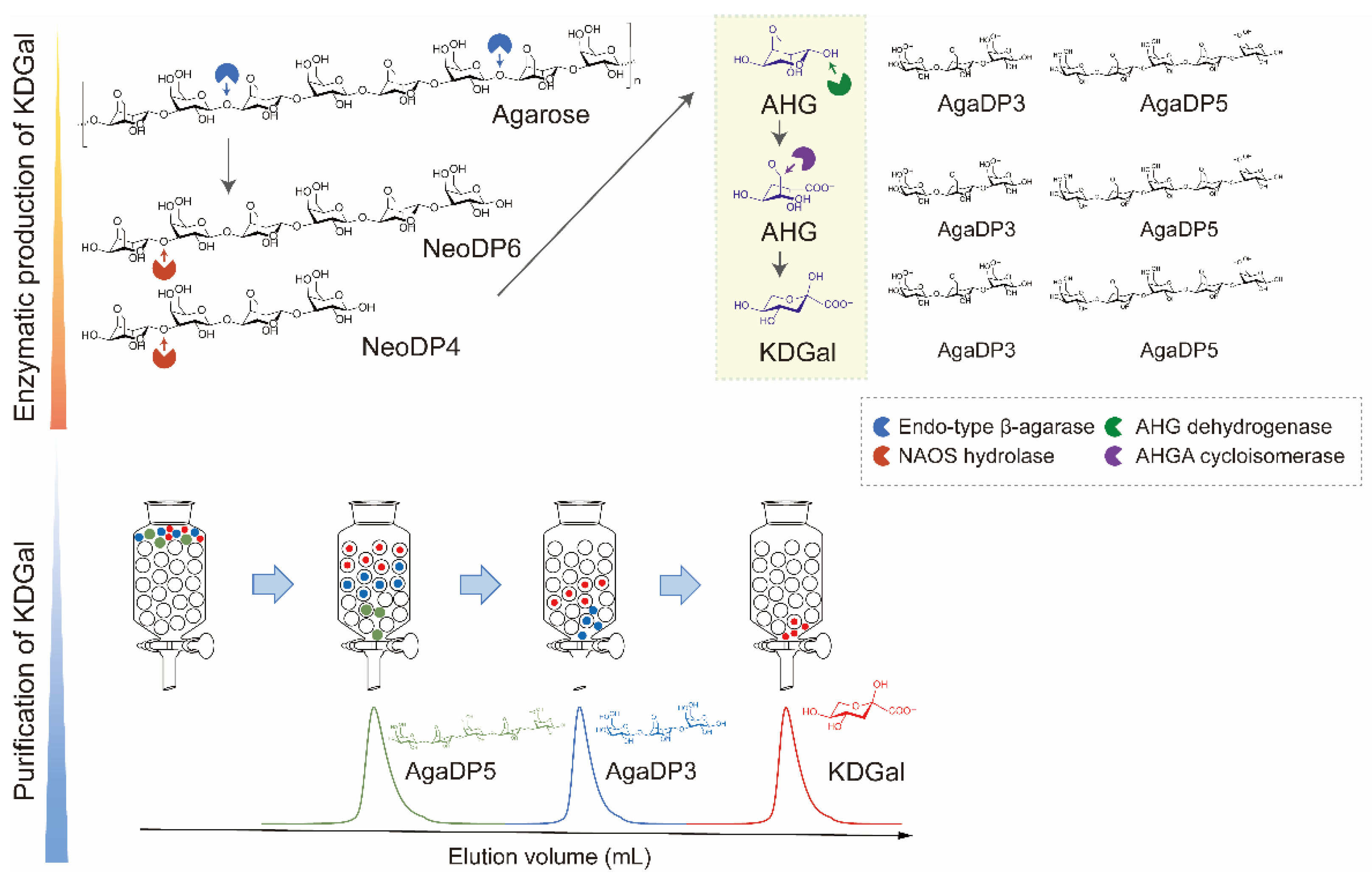 Marinedrugs 20 00288 g001