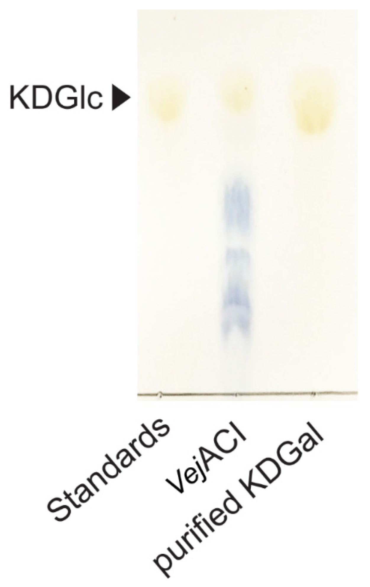 Marinedrugs 20 00288 g005