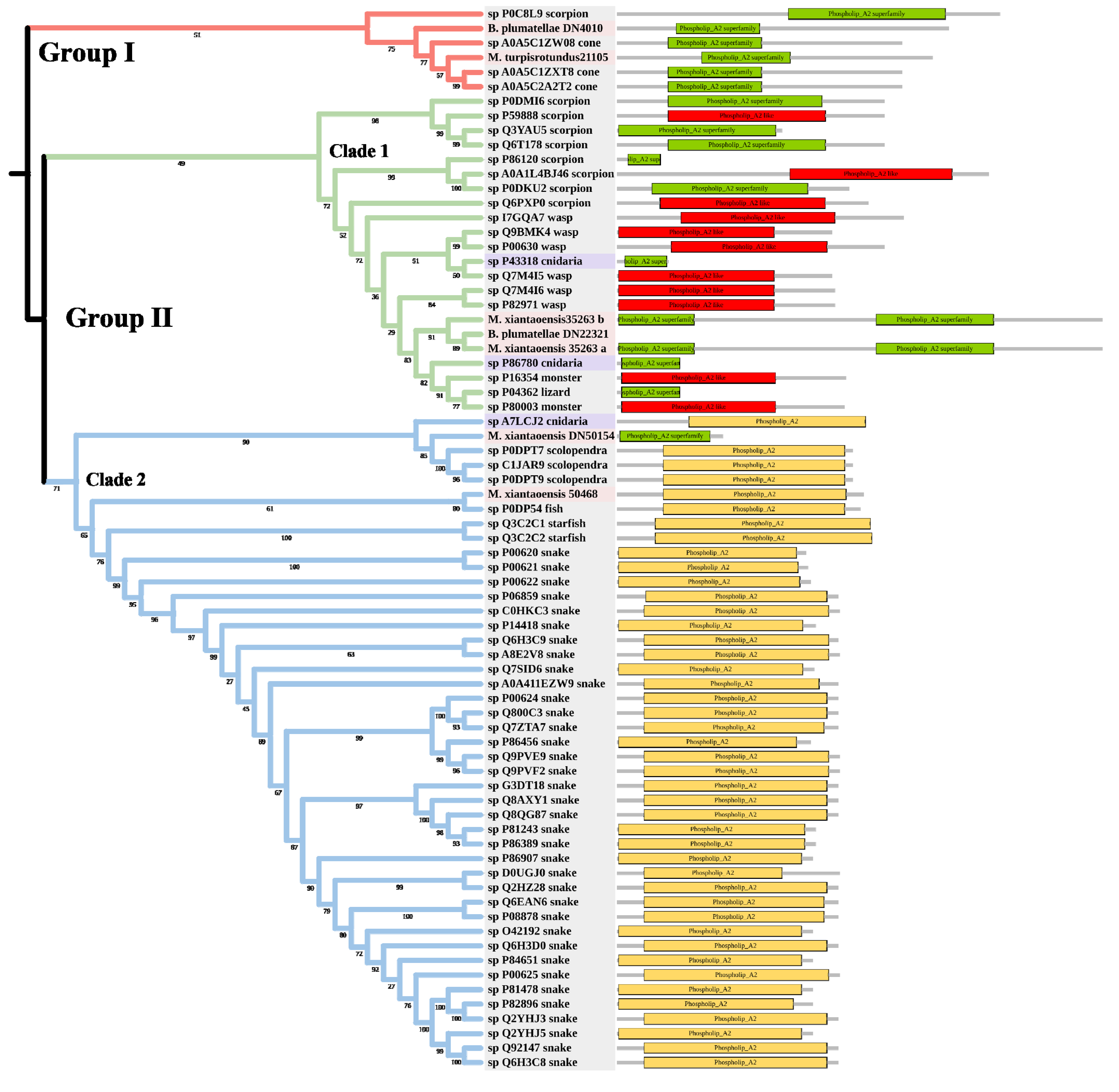 Marinedrugs 20 00291 g005