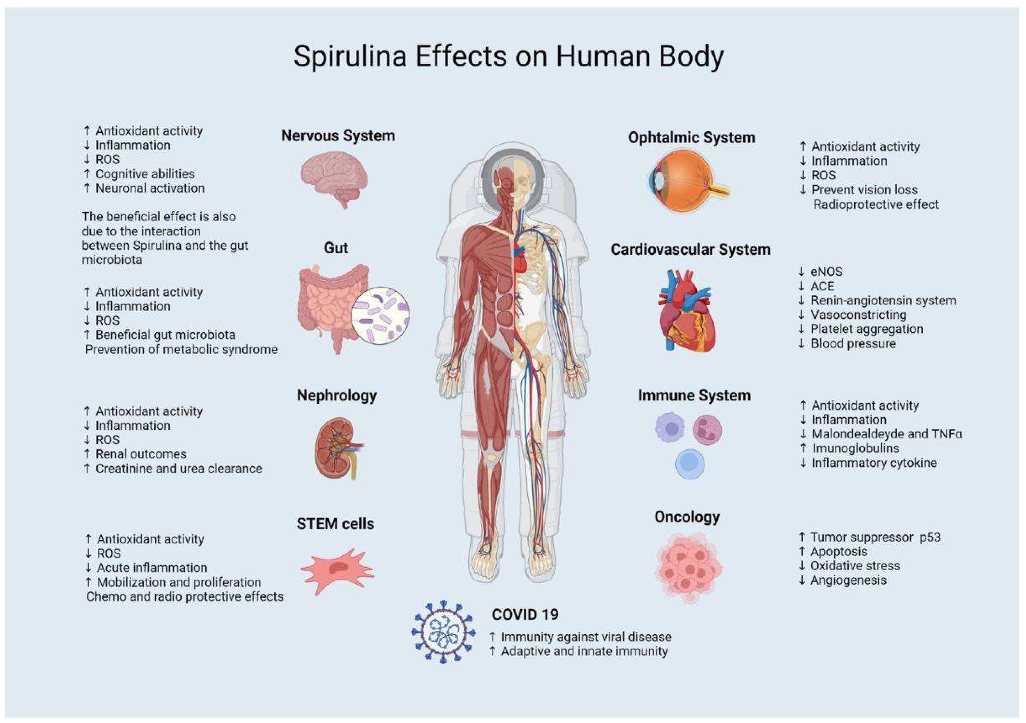 Marinedrugs 20 00299 g001