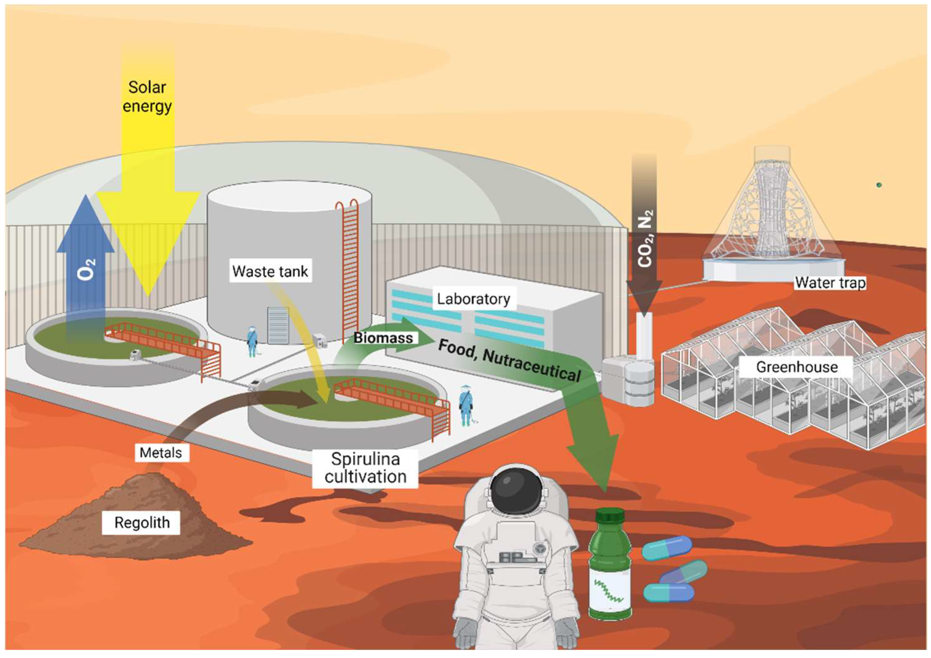 Marinedrugs 20 00299 g002