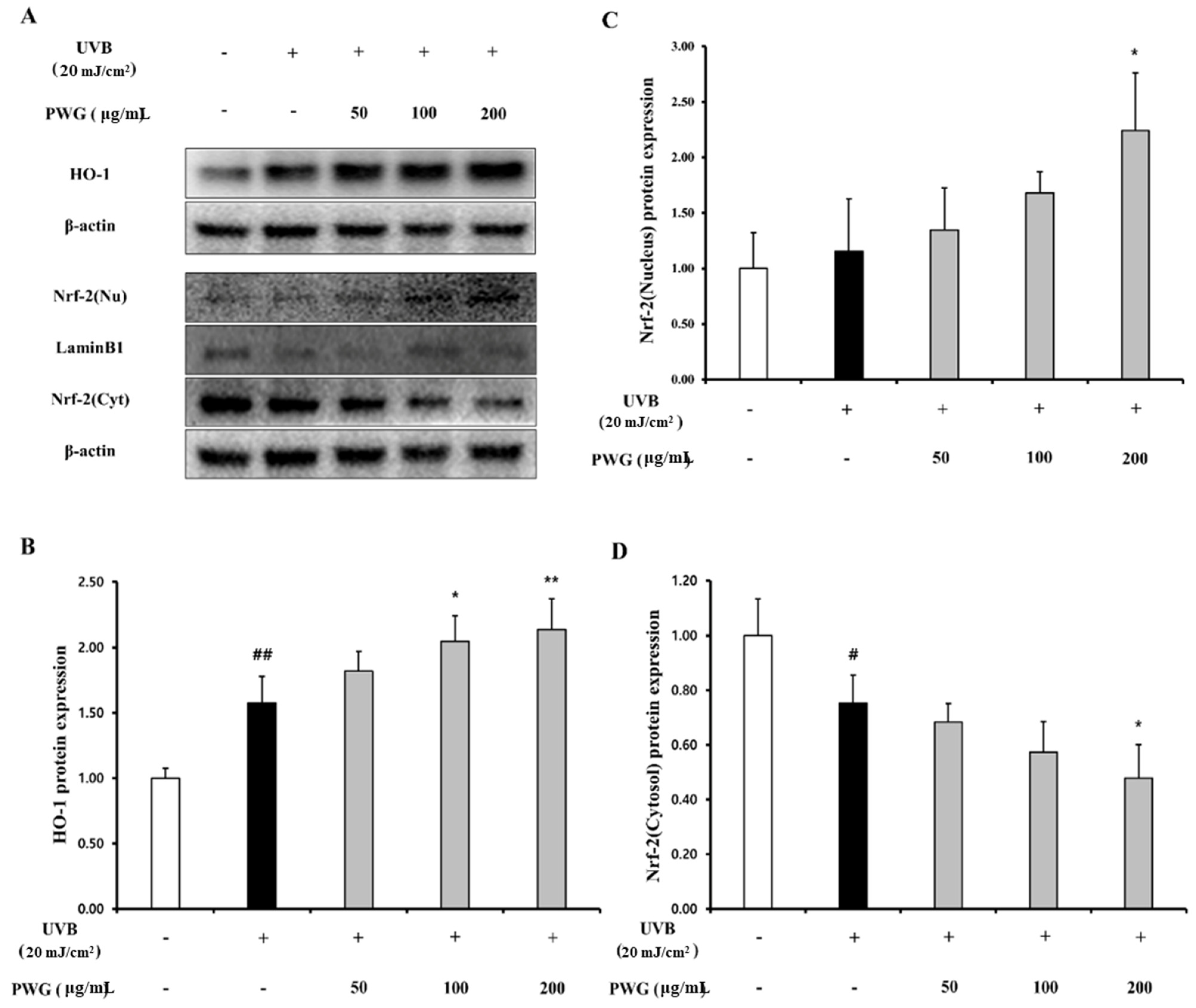 Marinedrugs 20 00308 g008