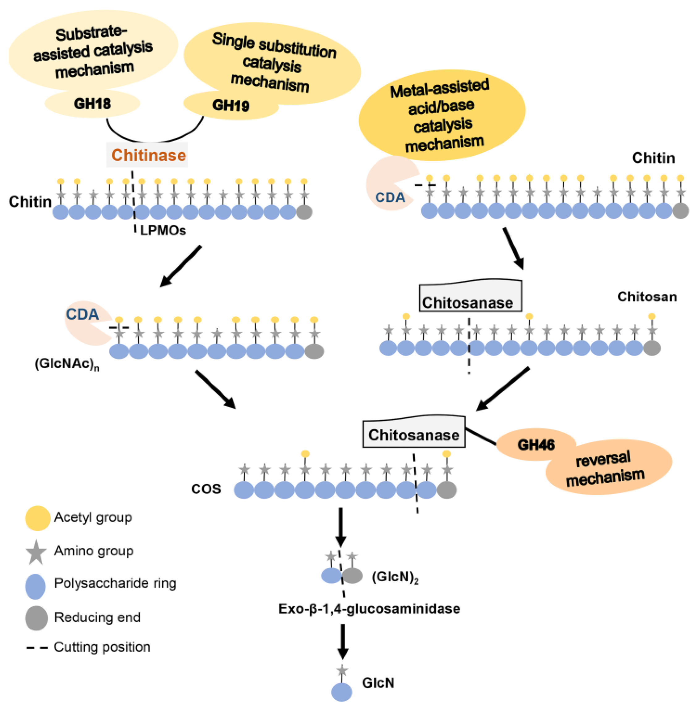 Marinedrugs 20 00310 g001