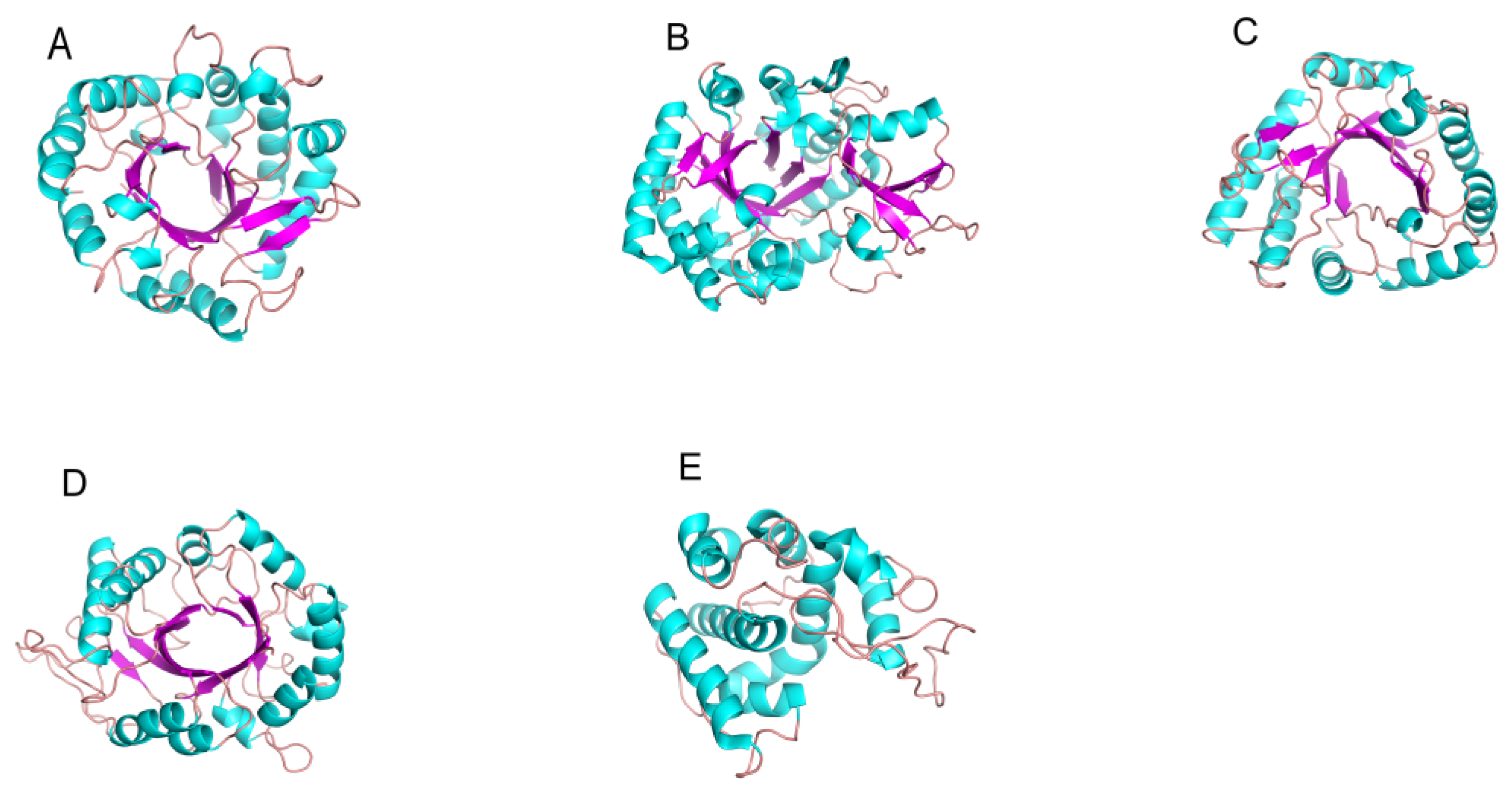 Marinedrugs 20 00310 g002
