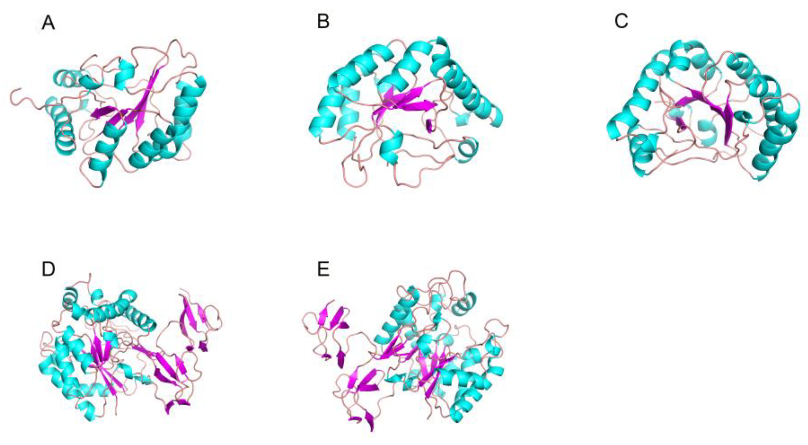 Marinedrugs 20 00310 g004