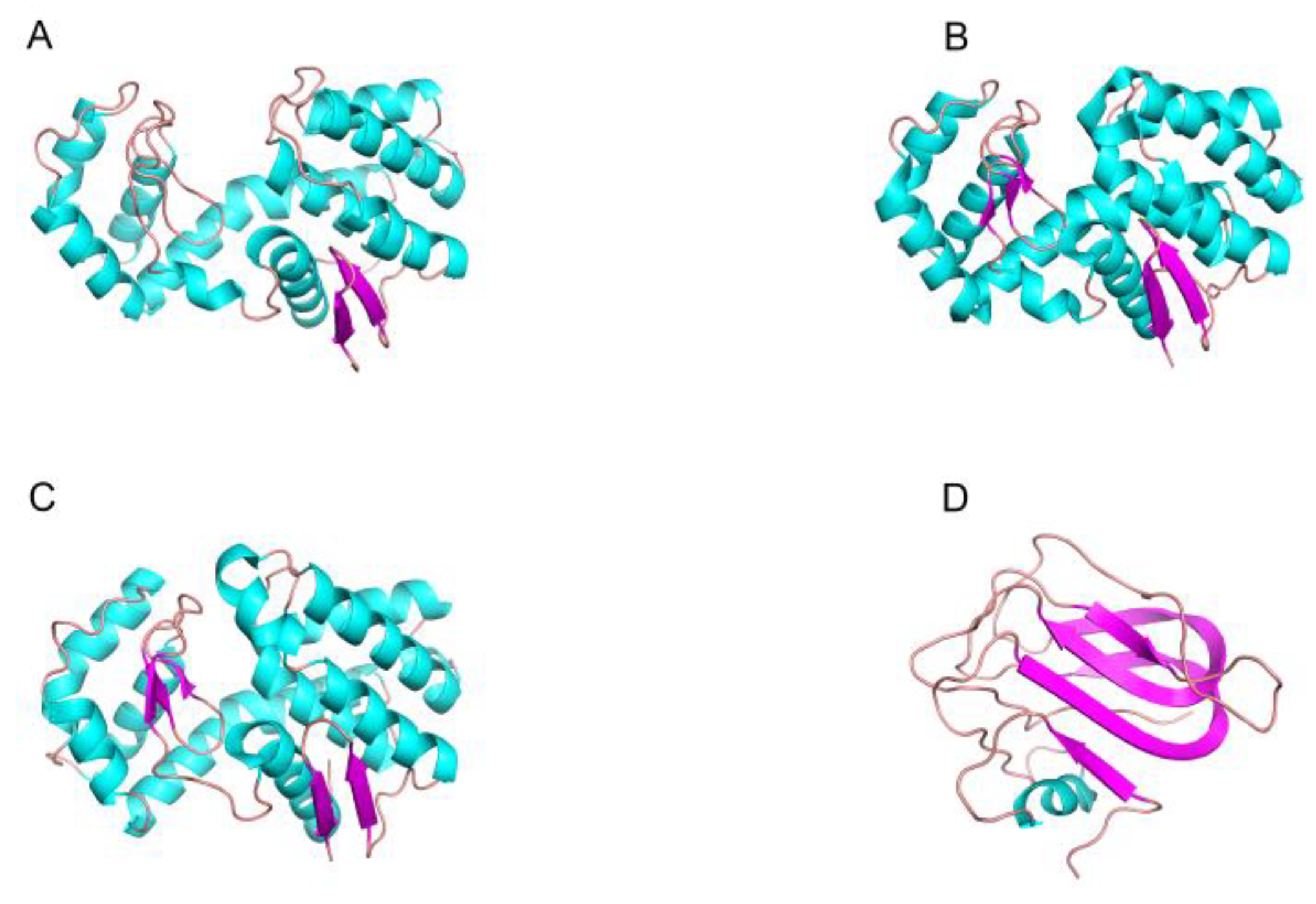 Marinedrugs 20 00310 g006
