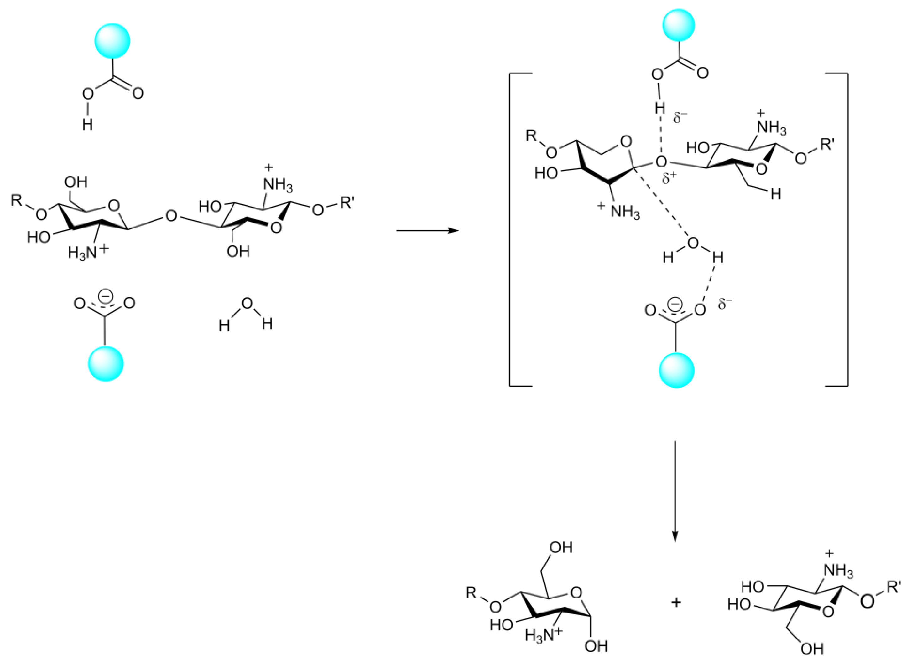 Marinedrugs 20 00310 g007