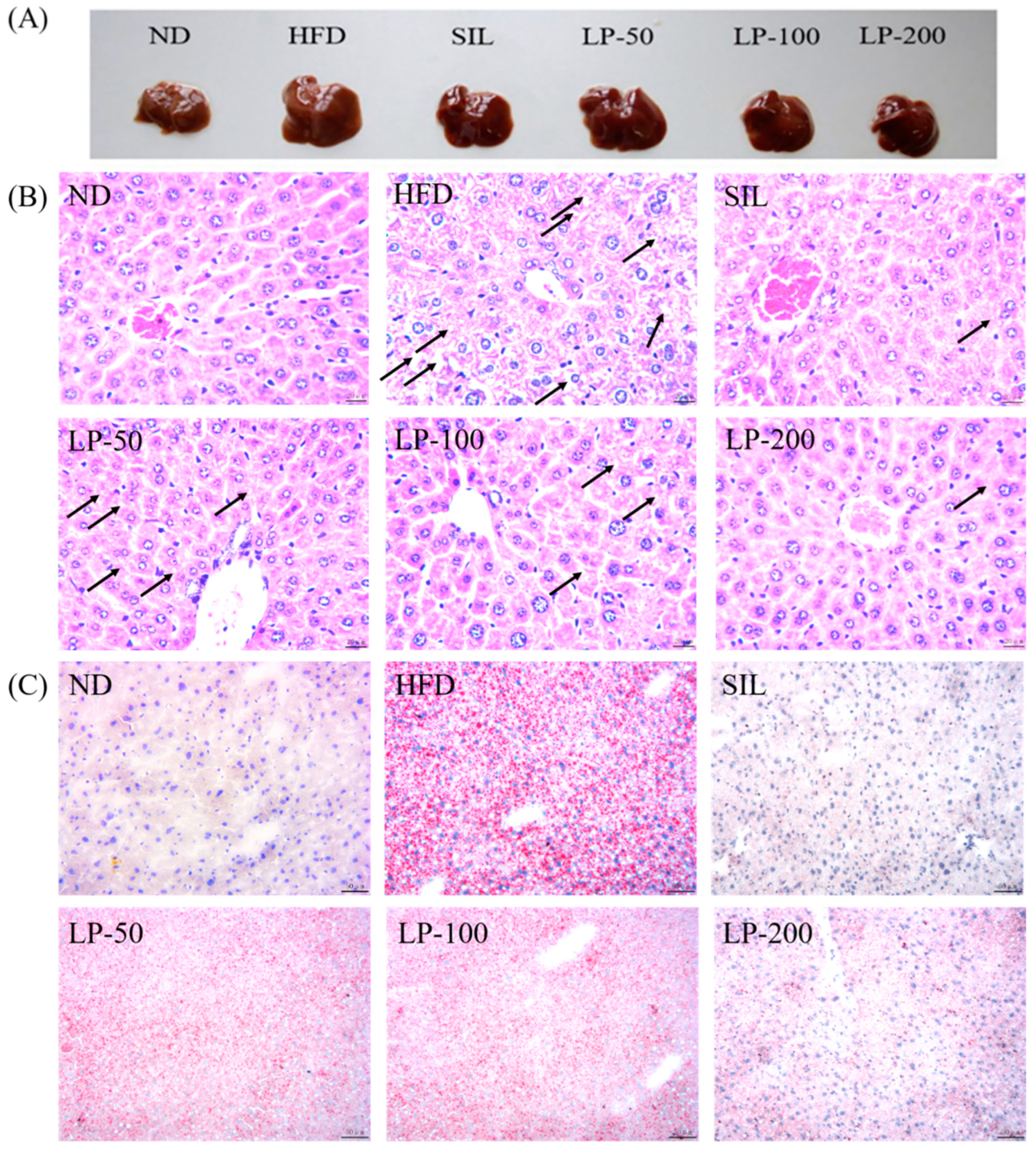 Marinedrugs 20 00312 g005a