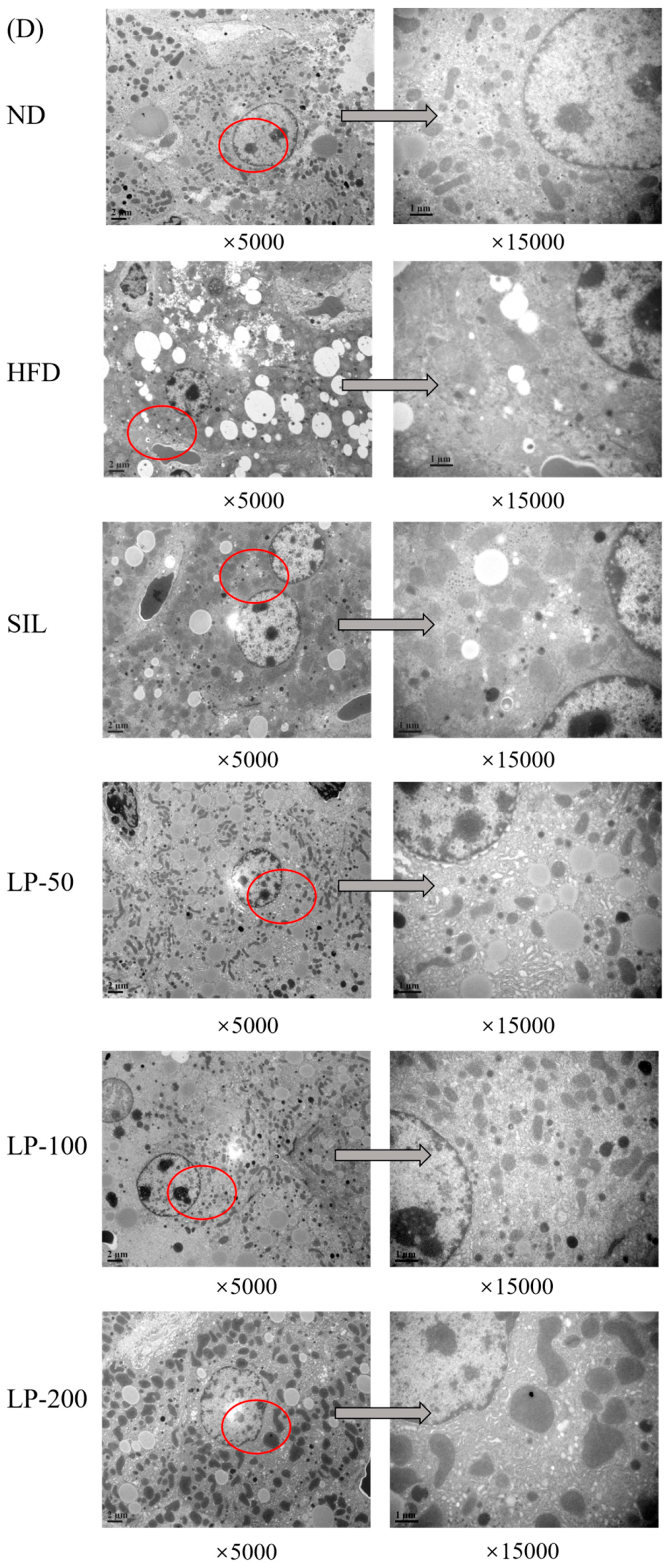 Marinedrugs 20 00312 g005b