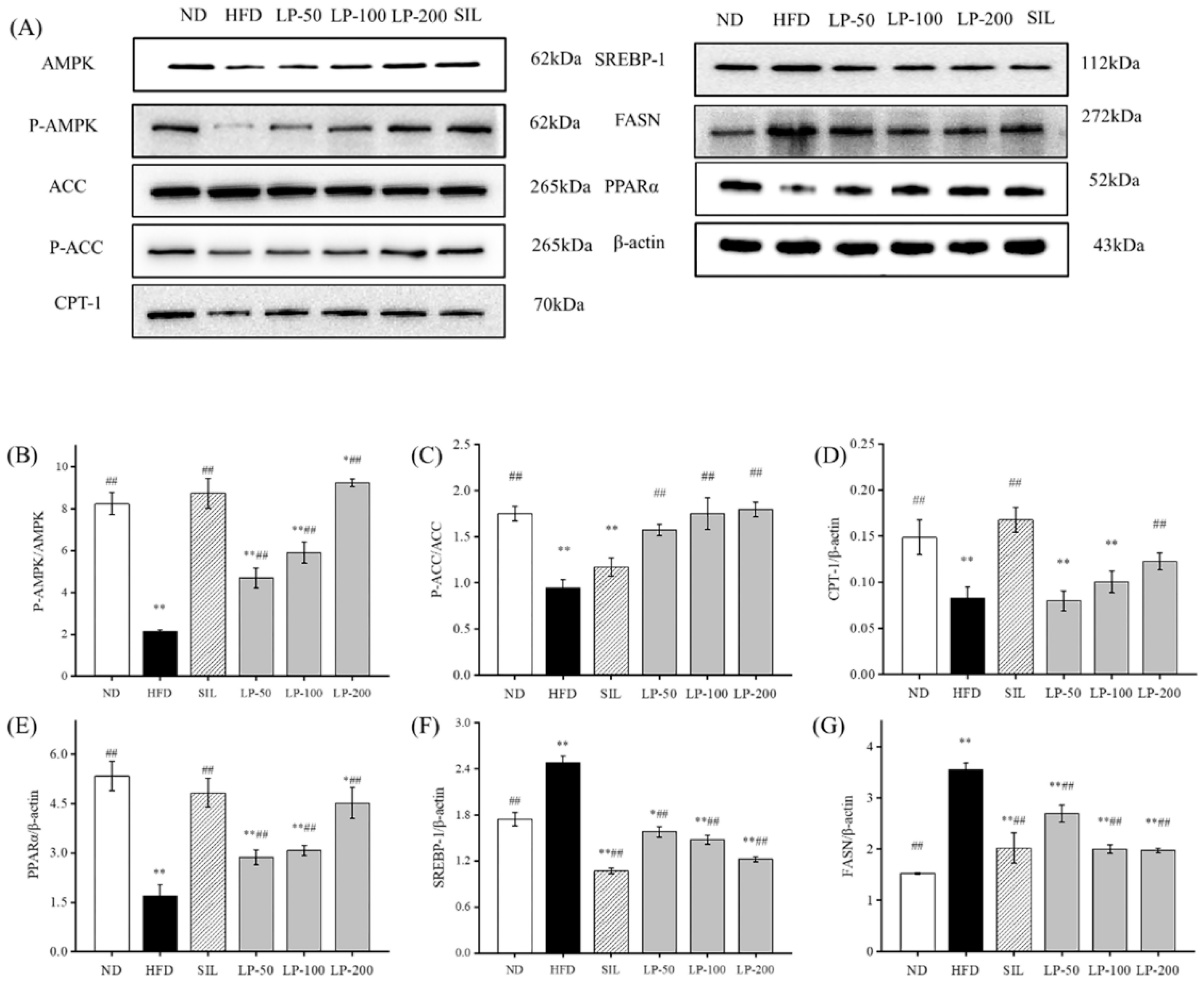 Marinedrugs 20 00312 g006