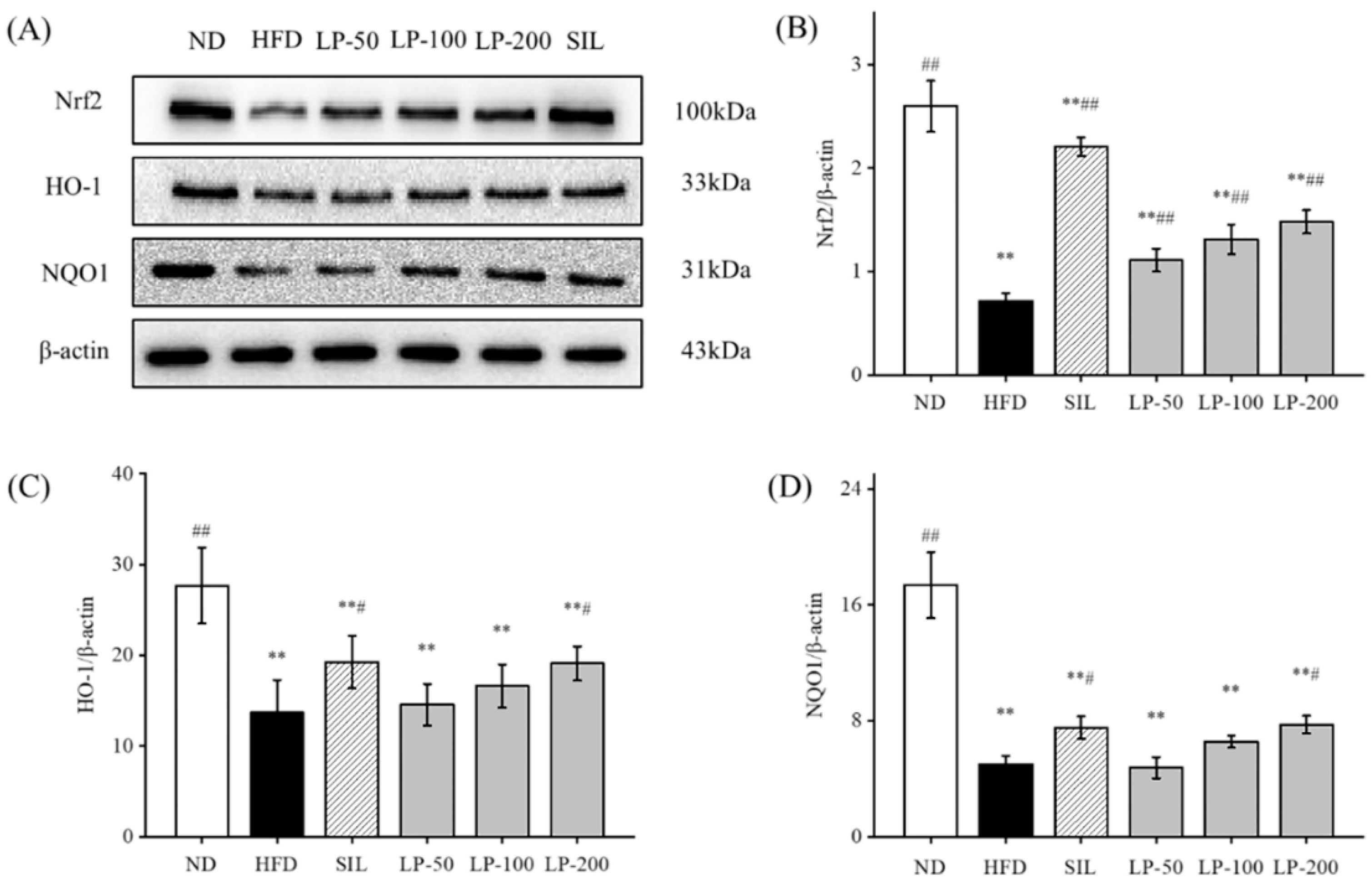Marinedrugs 20 00312 g007