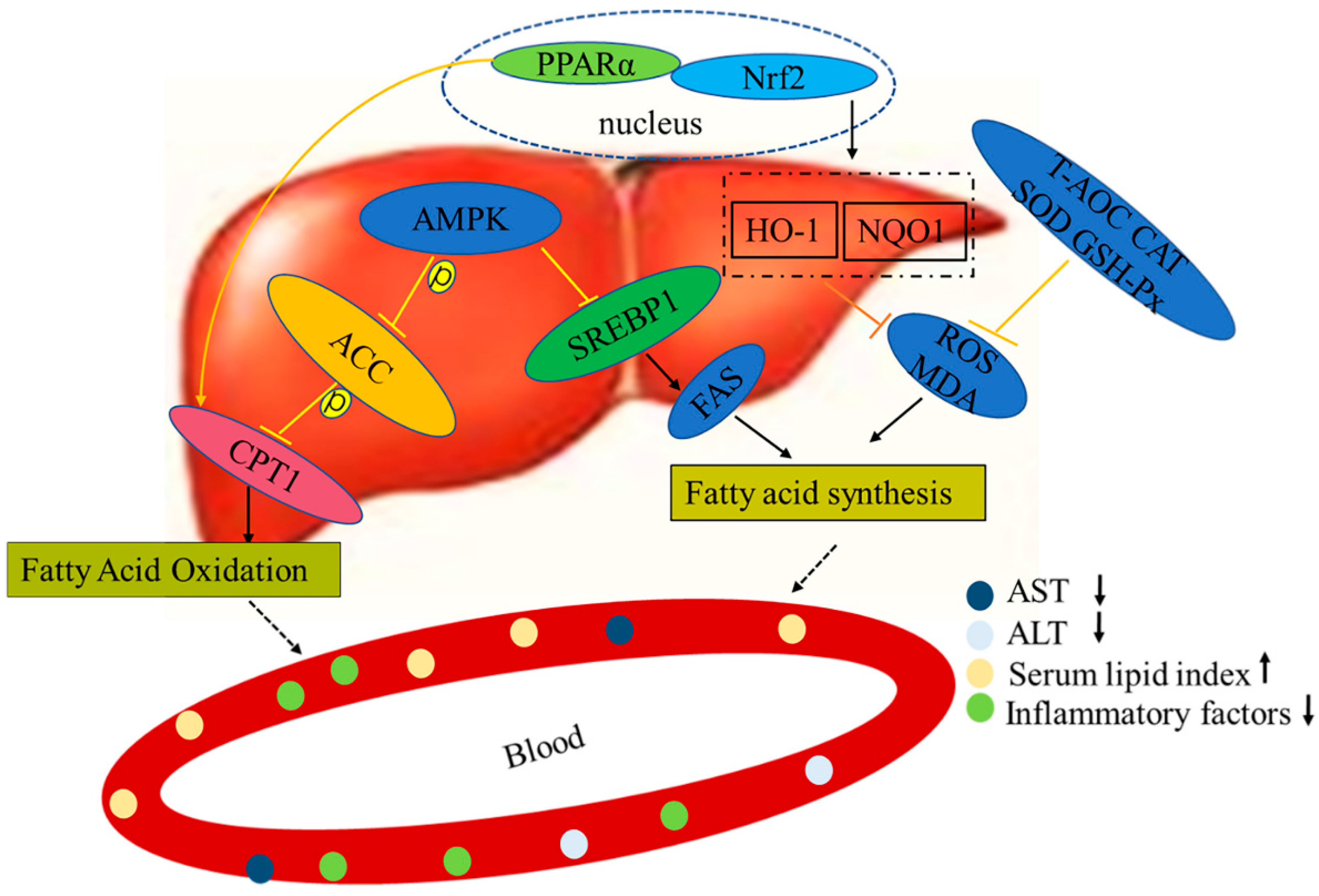 Marinedrugs 20 00312 g008