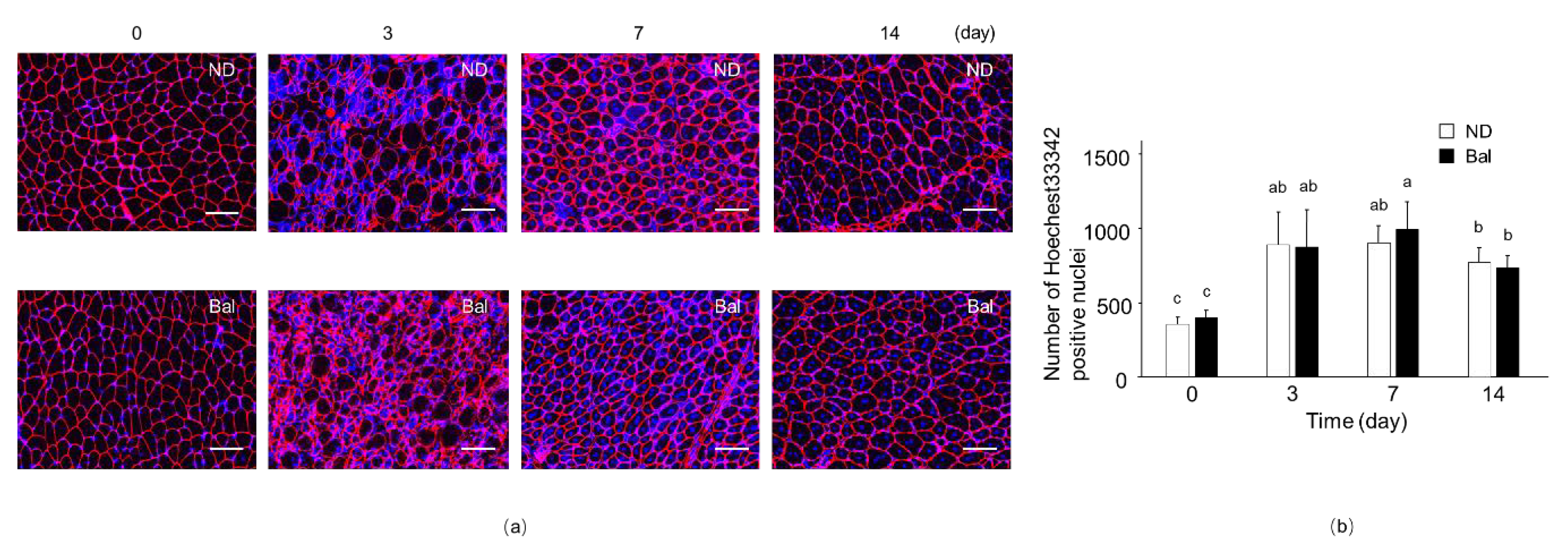 Marinedrugs 20 00313 g003