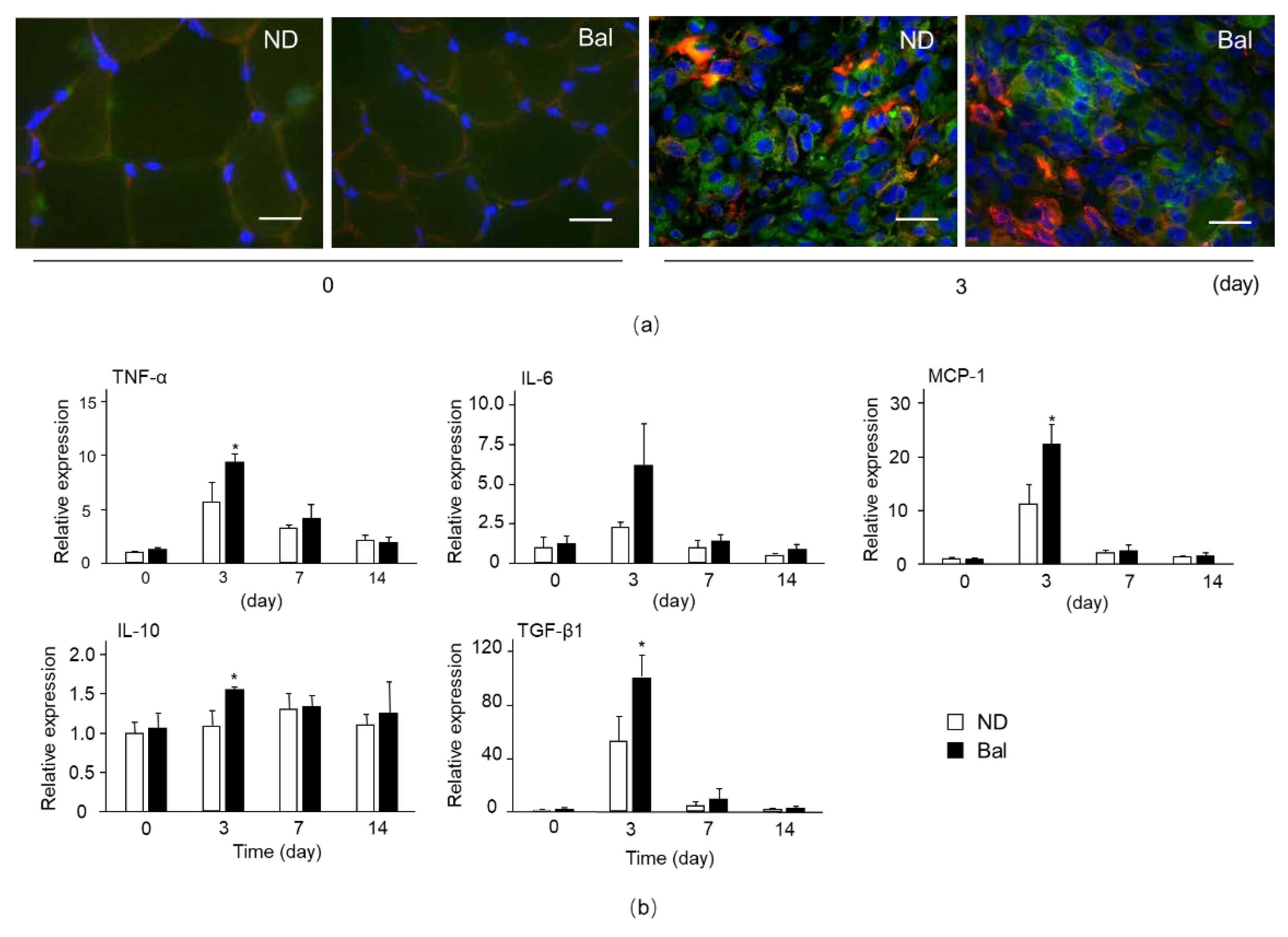 Marinedrugs 20 00313 g005