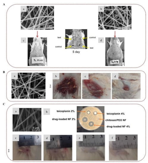 Marinedrugs 20 00314 g007